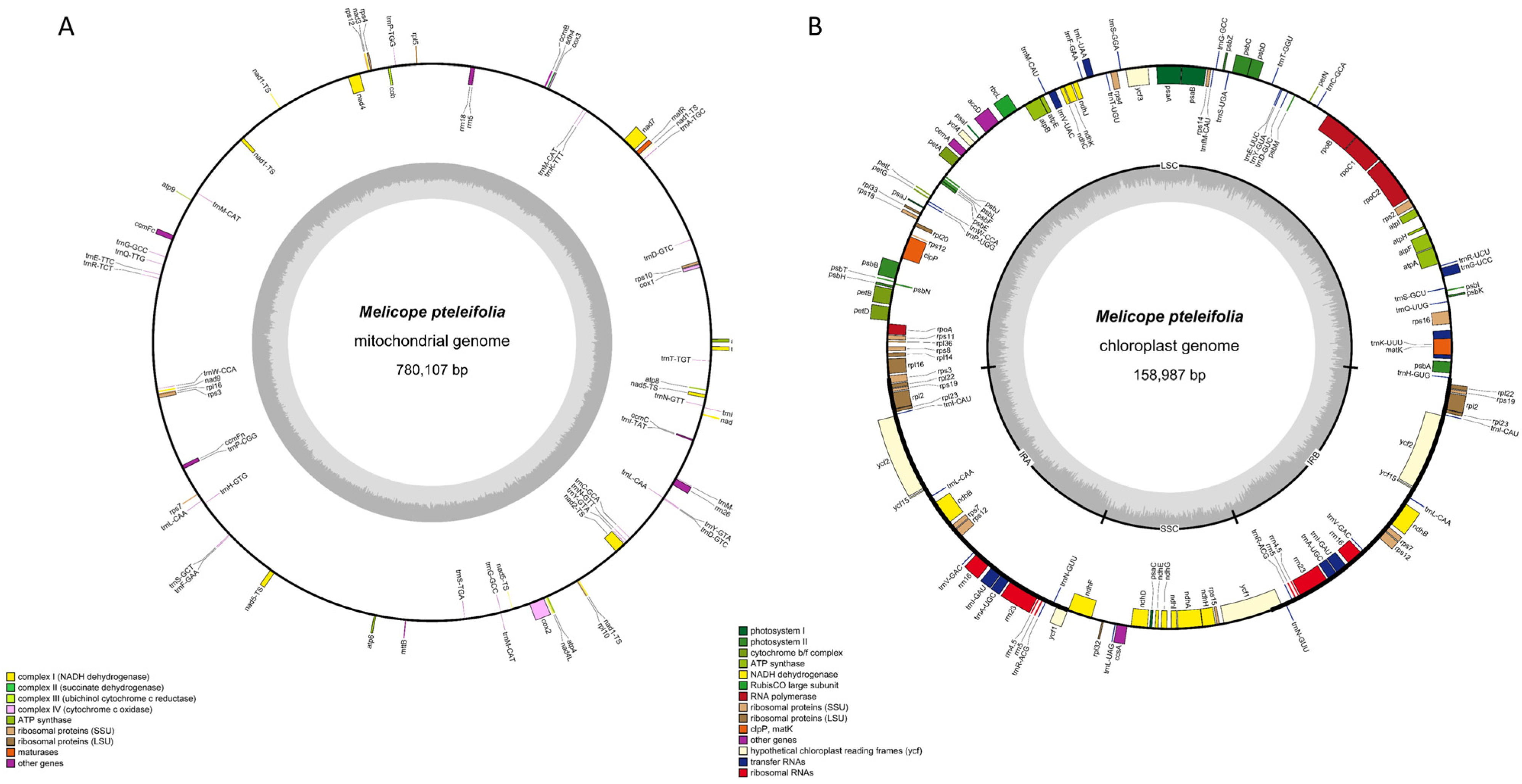 Horticulturae 11 00628 g001