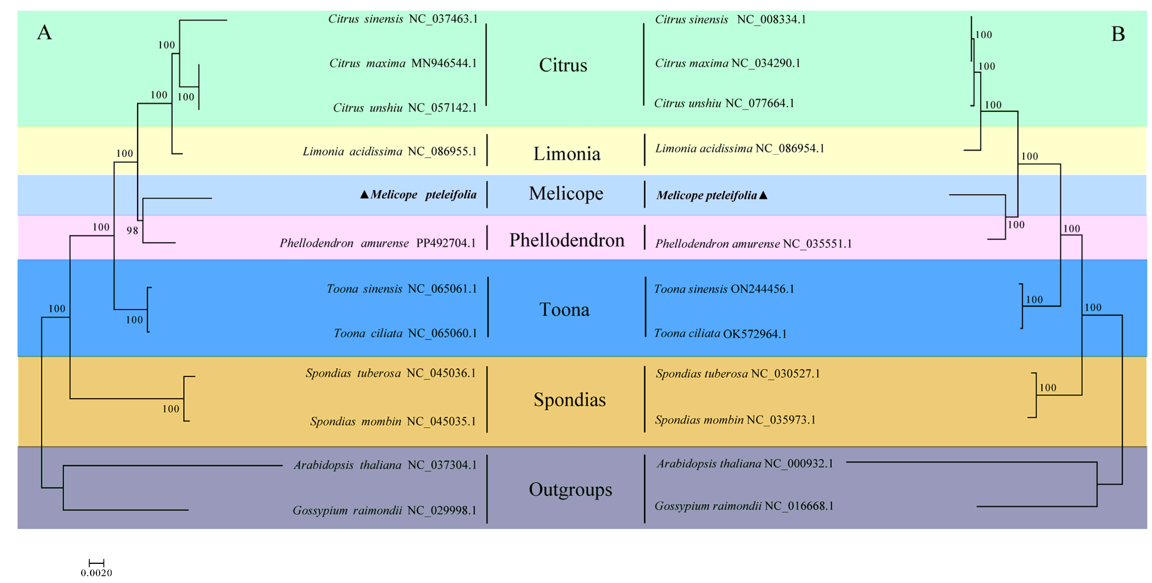 Horticulturae 11 00628 g006