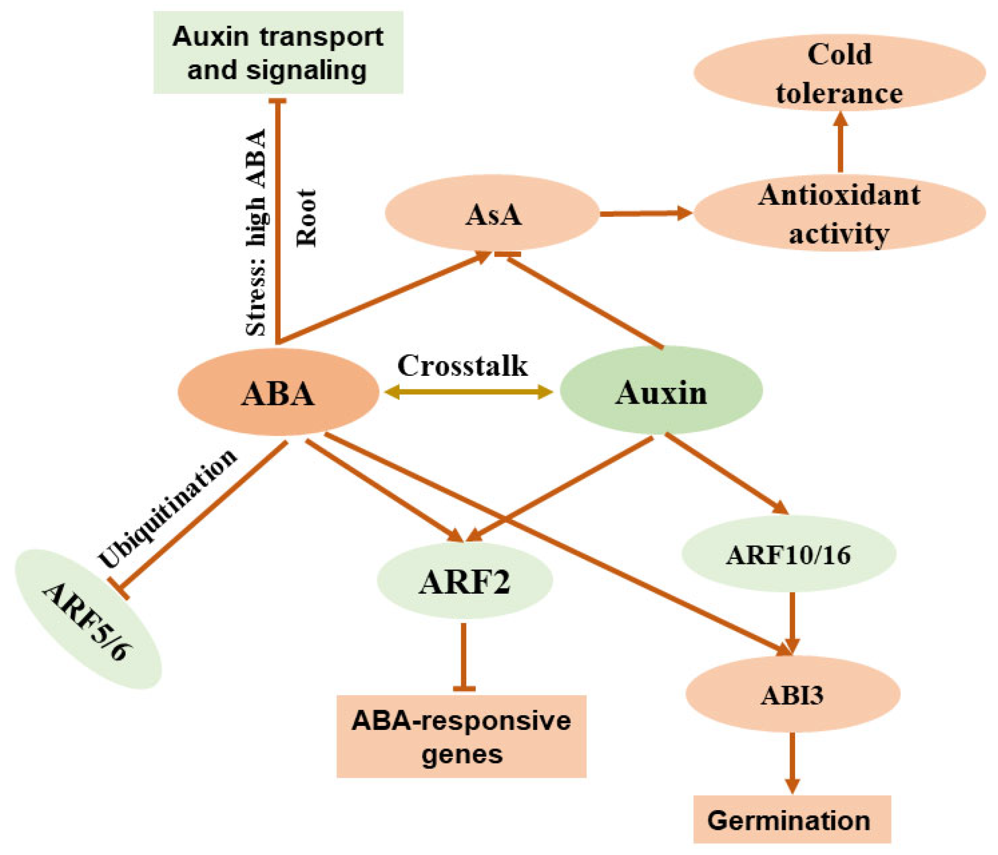 Horticulturae 11 00647 g002