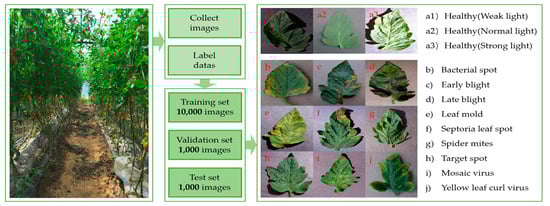 Horticulturae 11 00671 g003