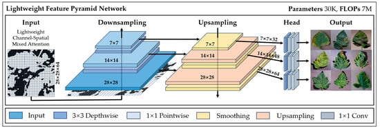 Horticulturae 11 00671 g008