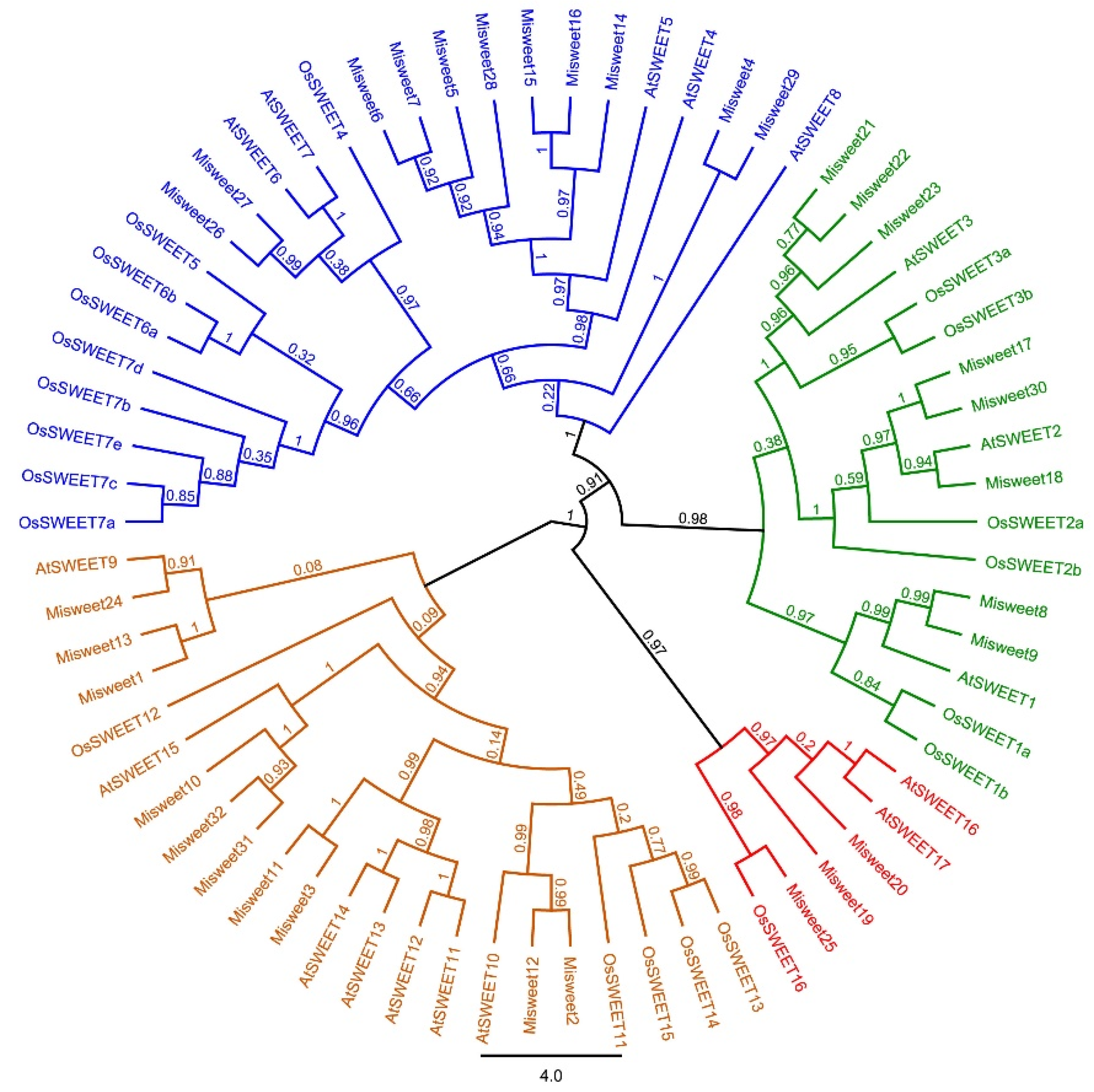 Horticulturae 11 00675 g001