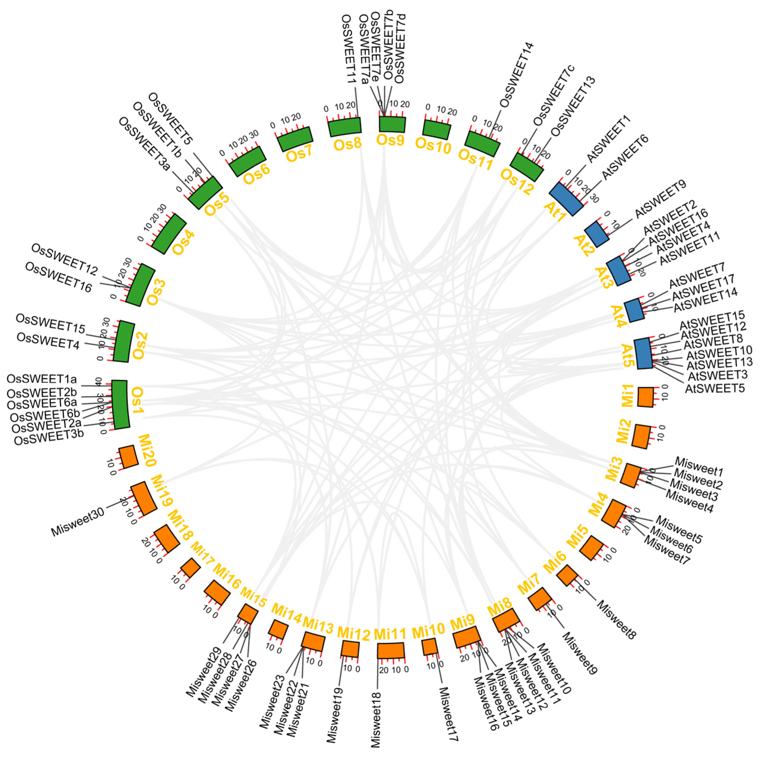 Horticulturae 11 00675 g002