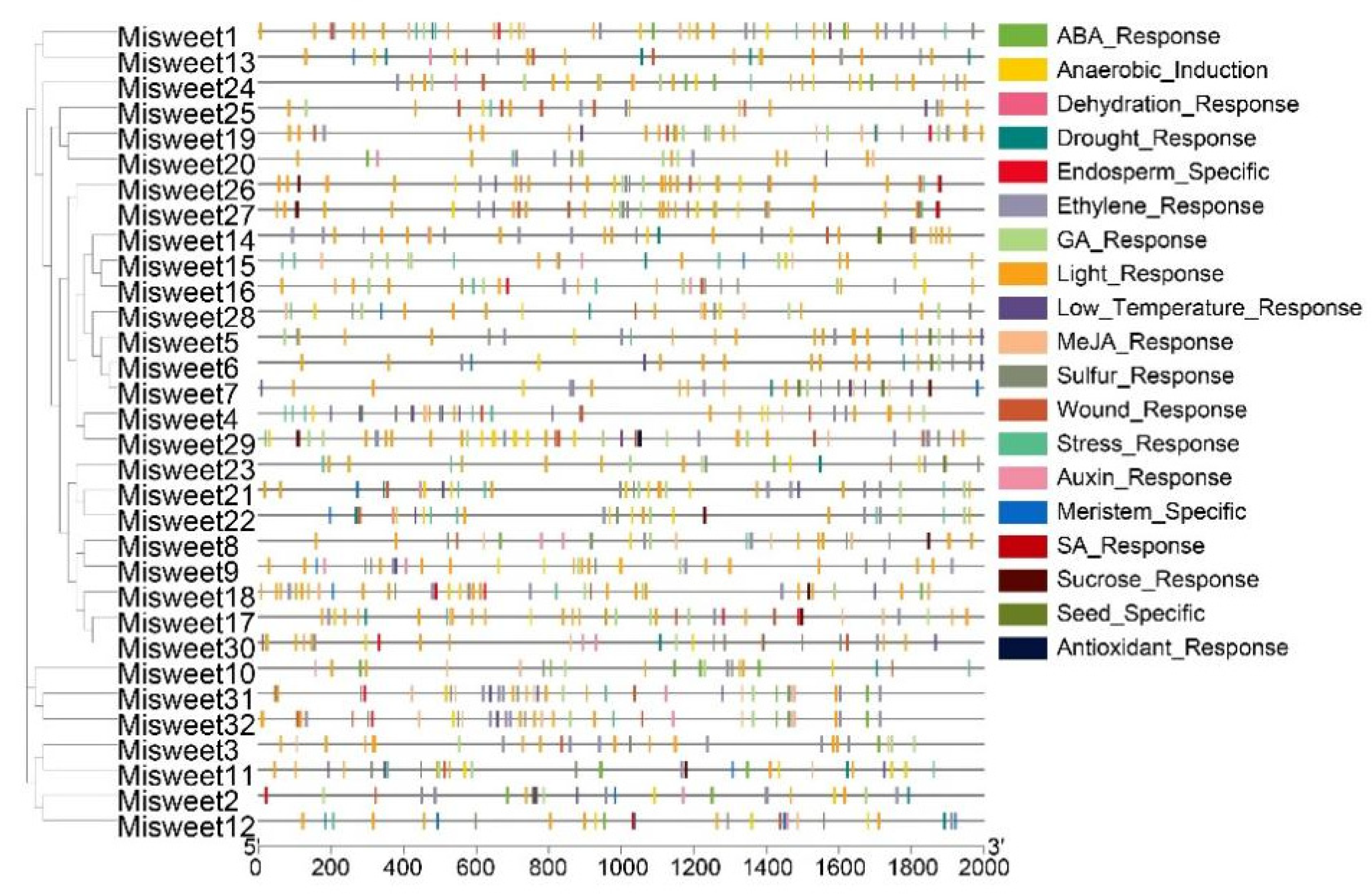 Horticulturae 11 00675 g004