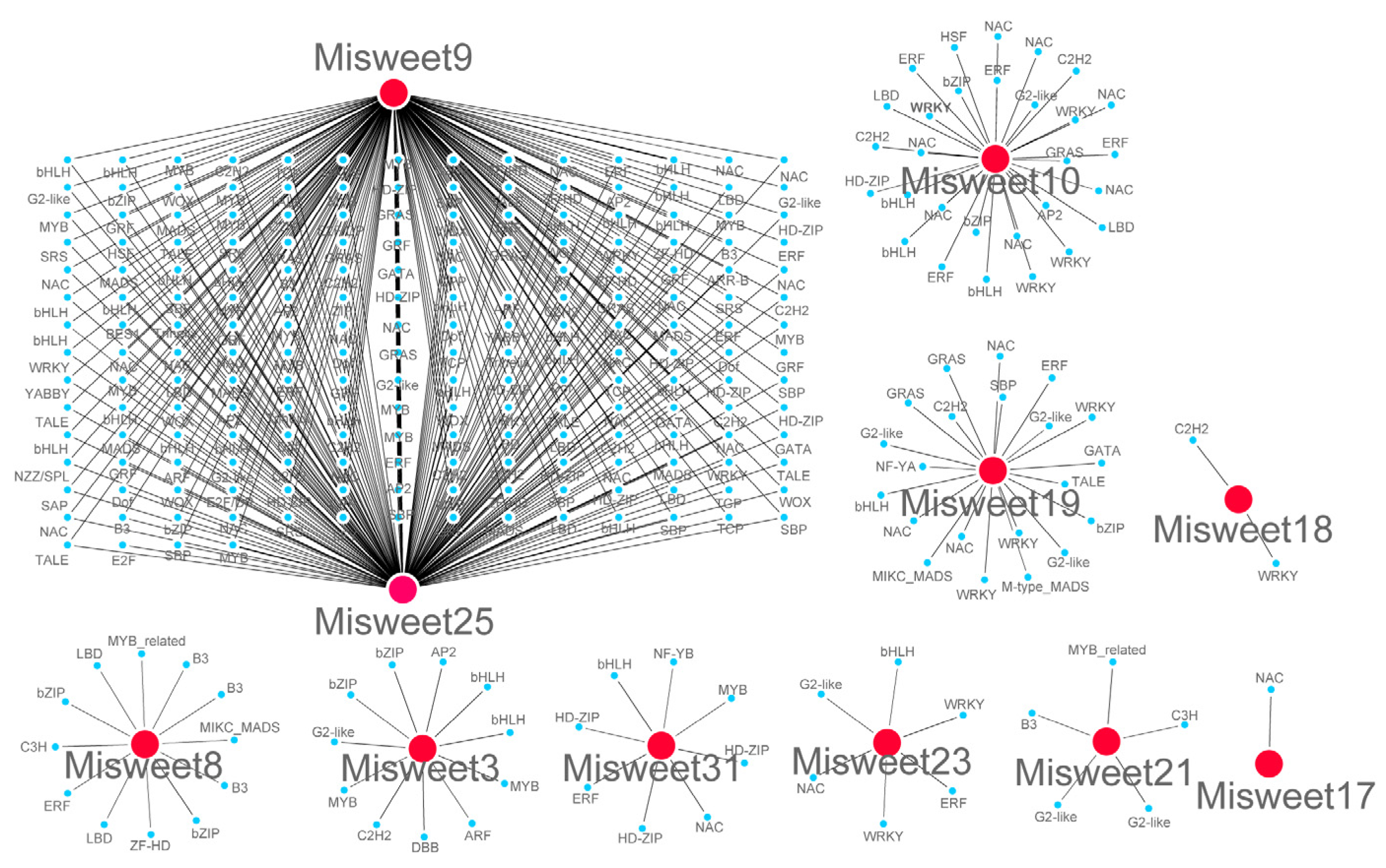 Horticulturae 11 00675 g007