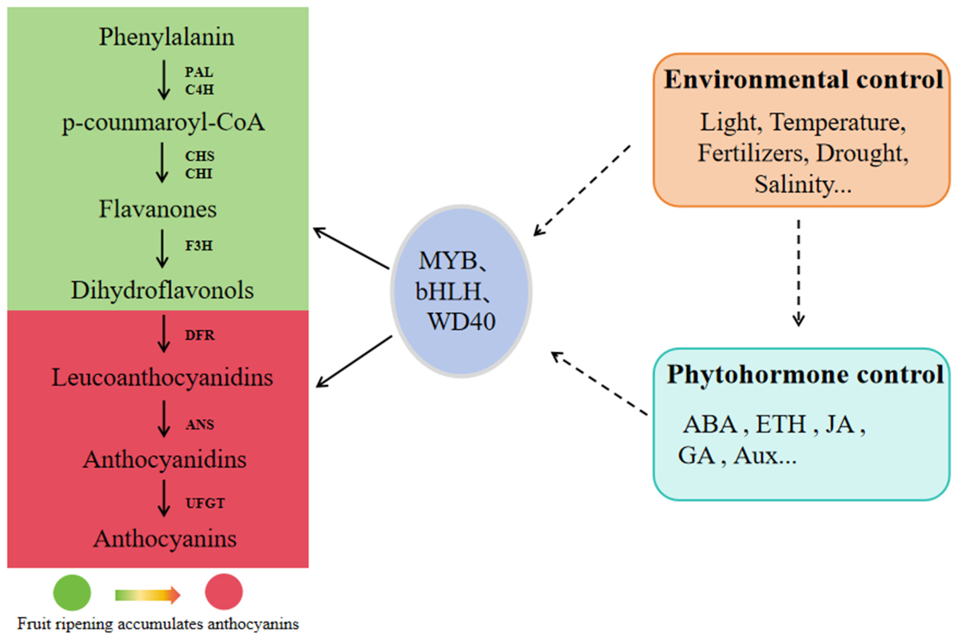 Horticulturae 11 00681 g001