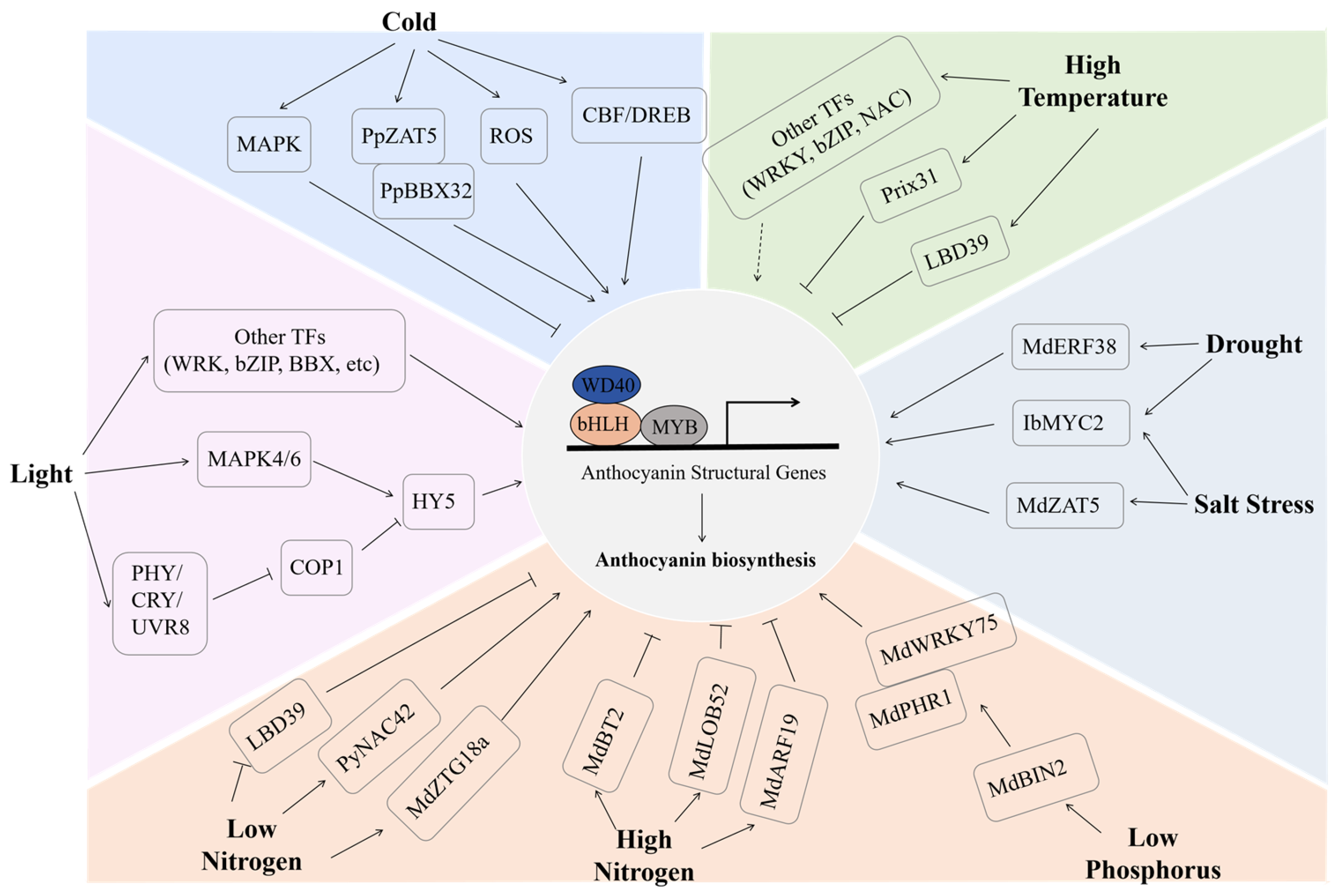 Horticulturae 11 00681 g002