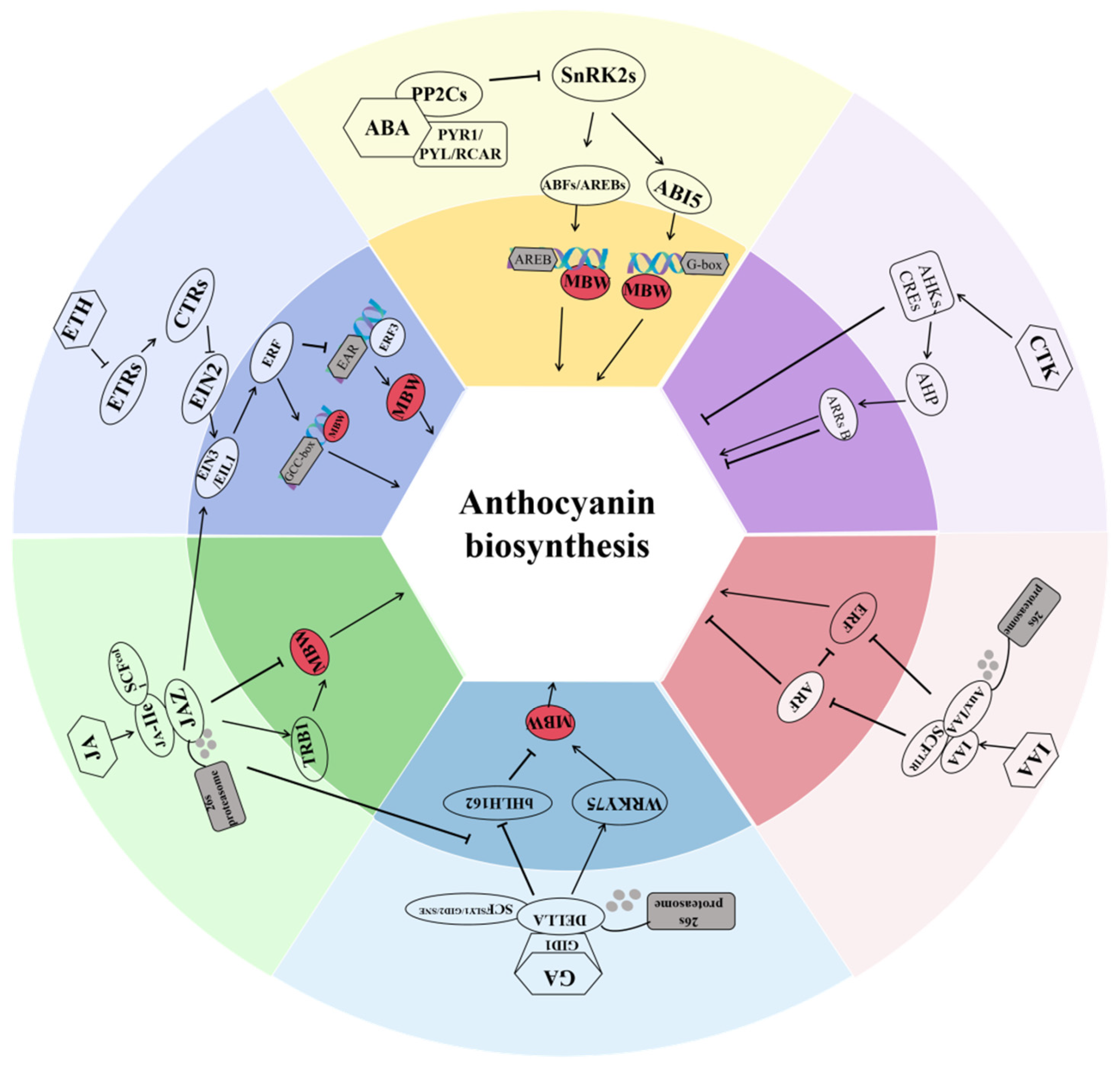 Horticulturae 11 00681 g003
