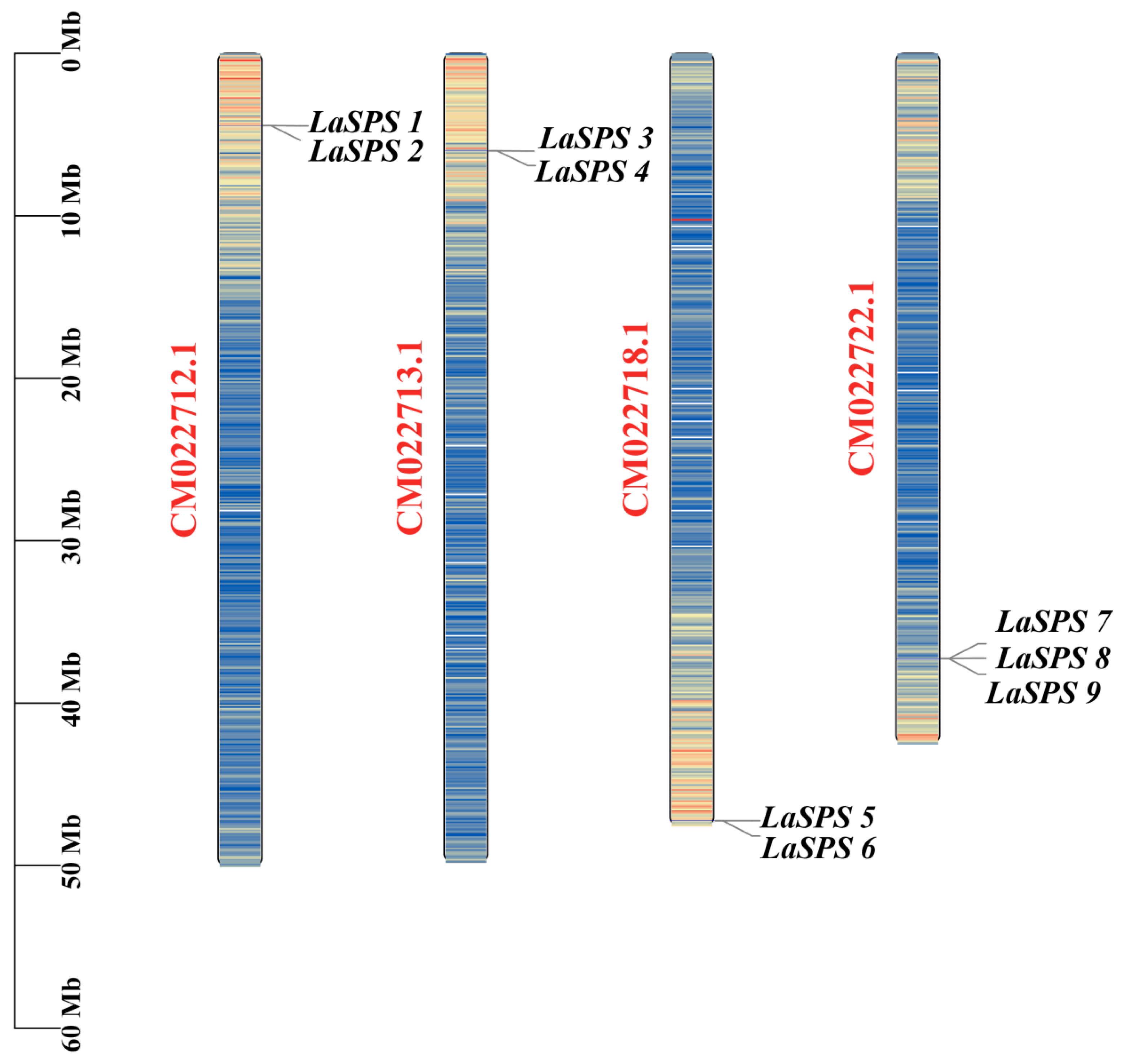 Horticulturae 11 00689 g003
