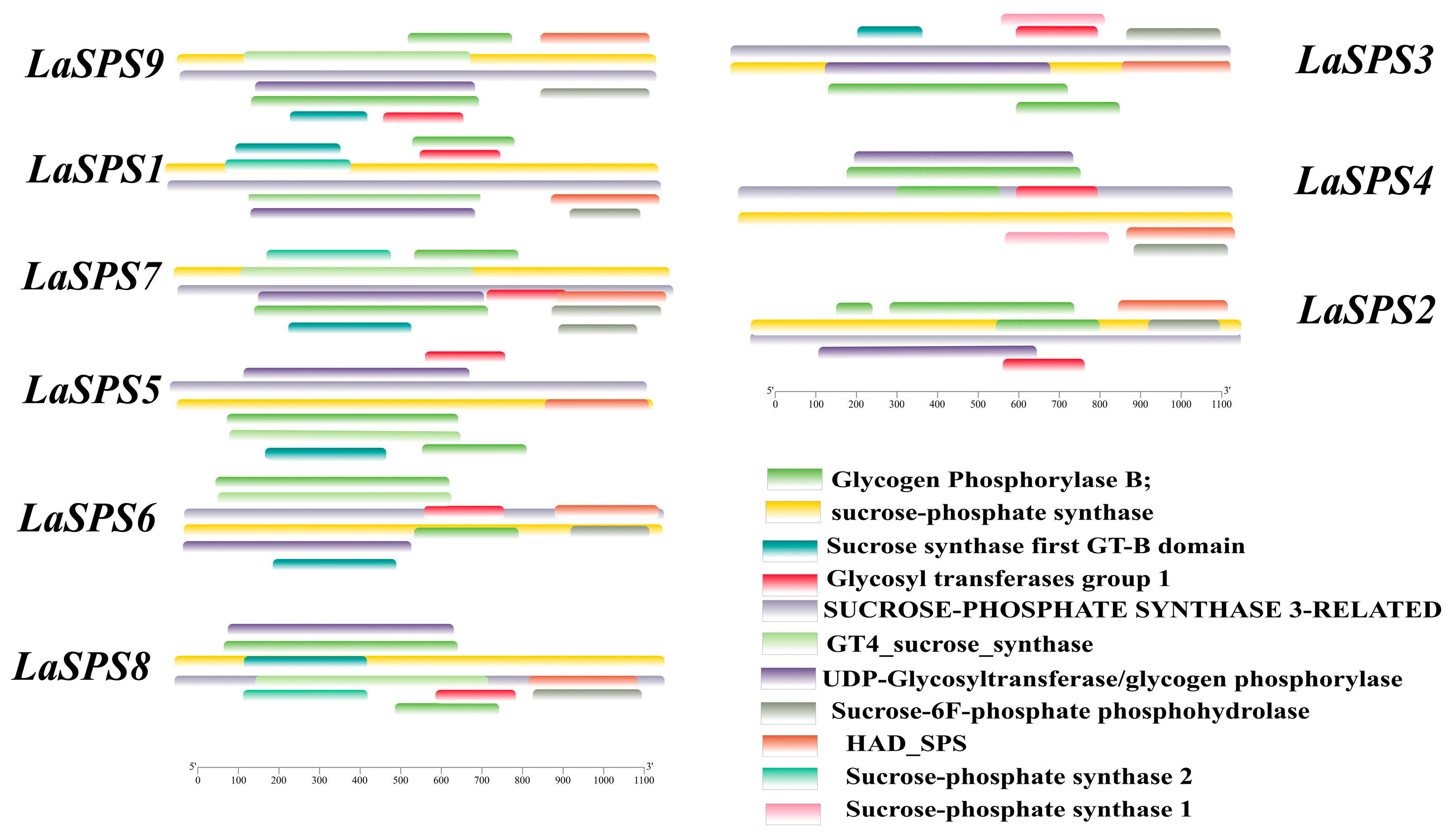Horticulturae 11 00689 g004