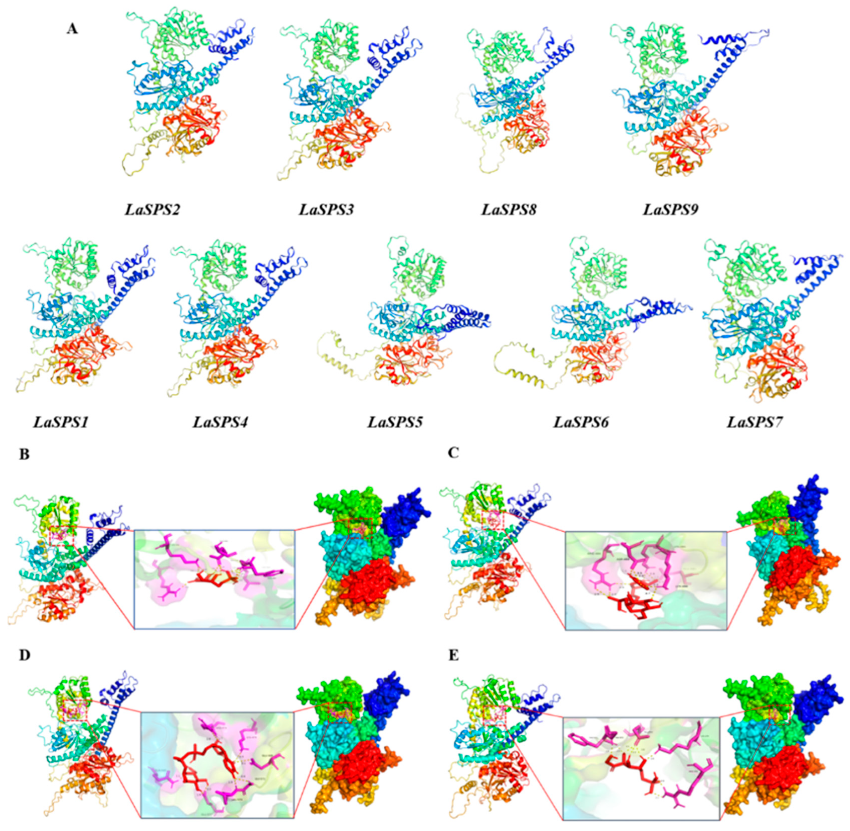 Horticulturae 11 00689 g005
