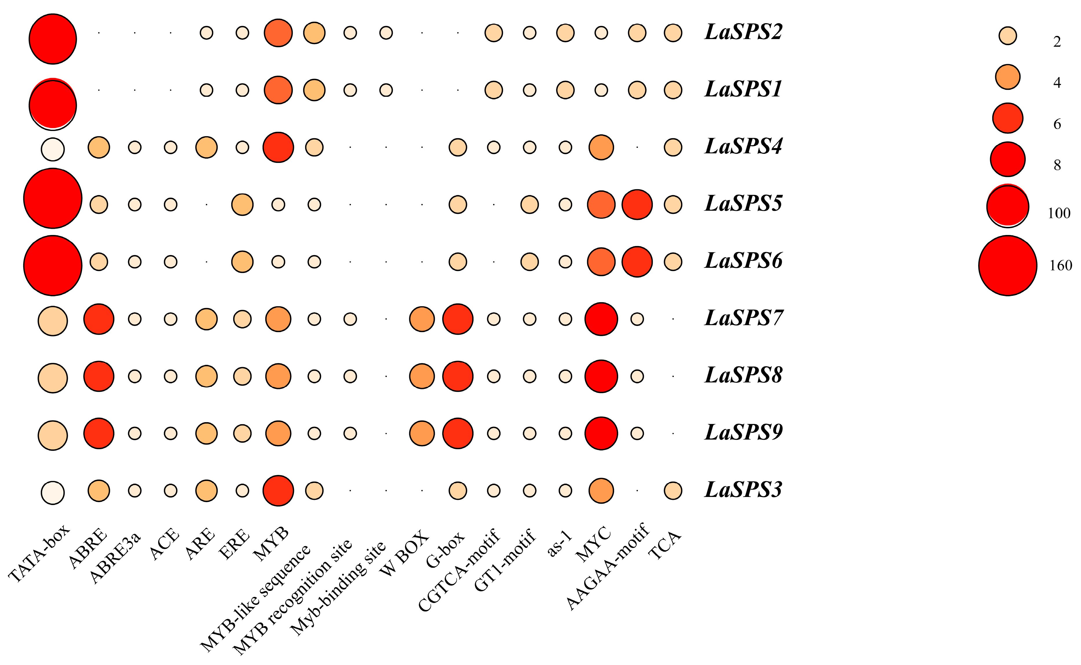 Horticulturae 11 00689 g006