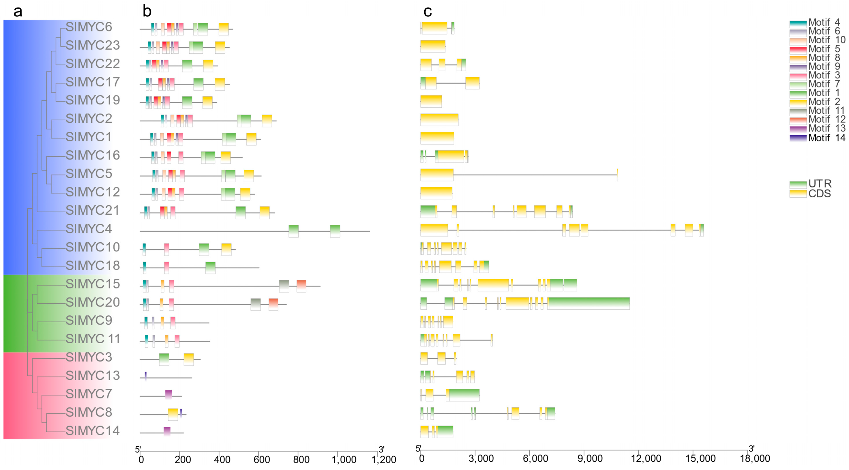 Horticulturae 11 00693 g002