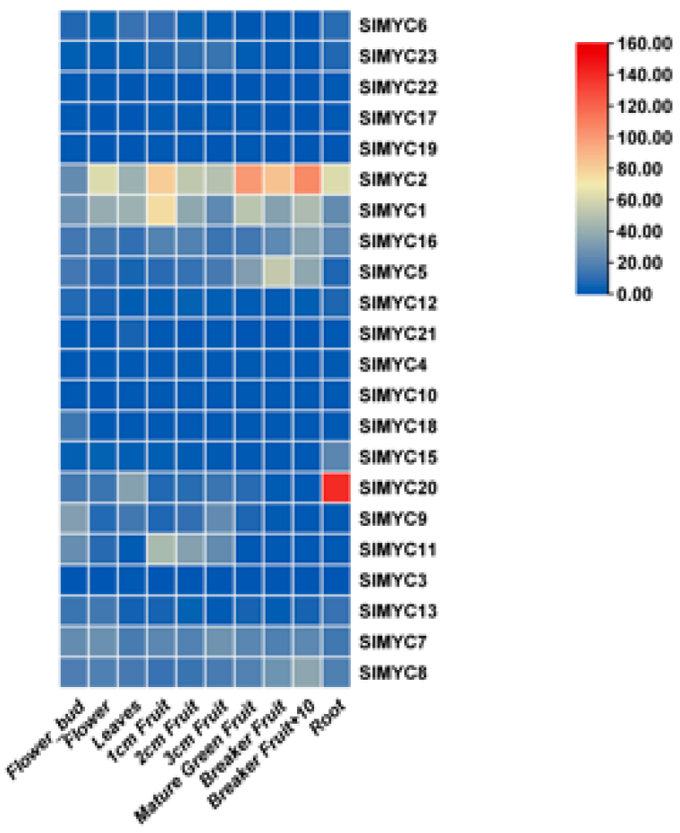 Horticulturae 11 00693 g004