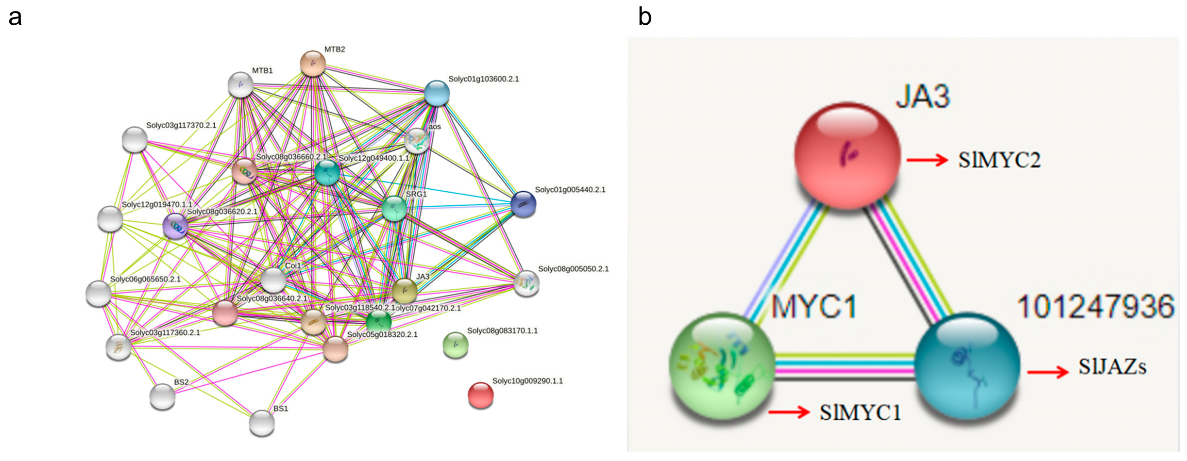 Horticulturae 11 00693 g006