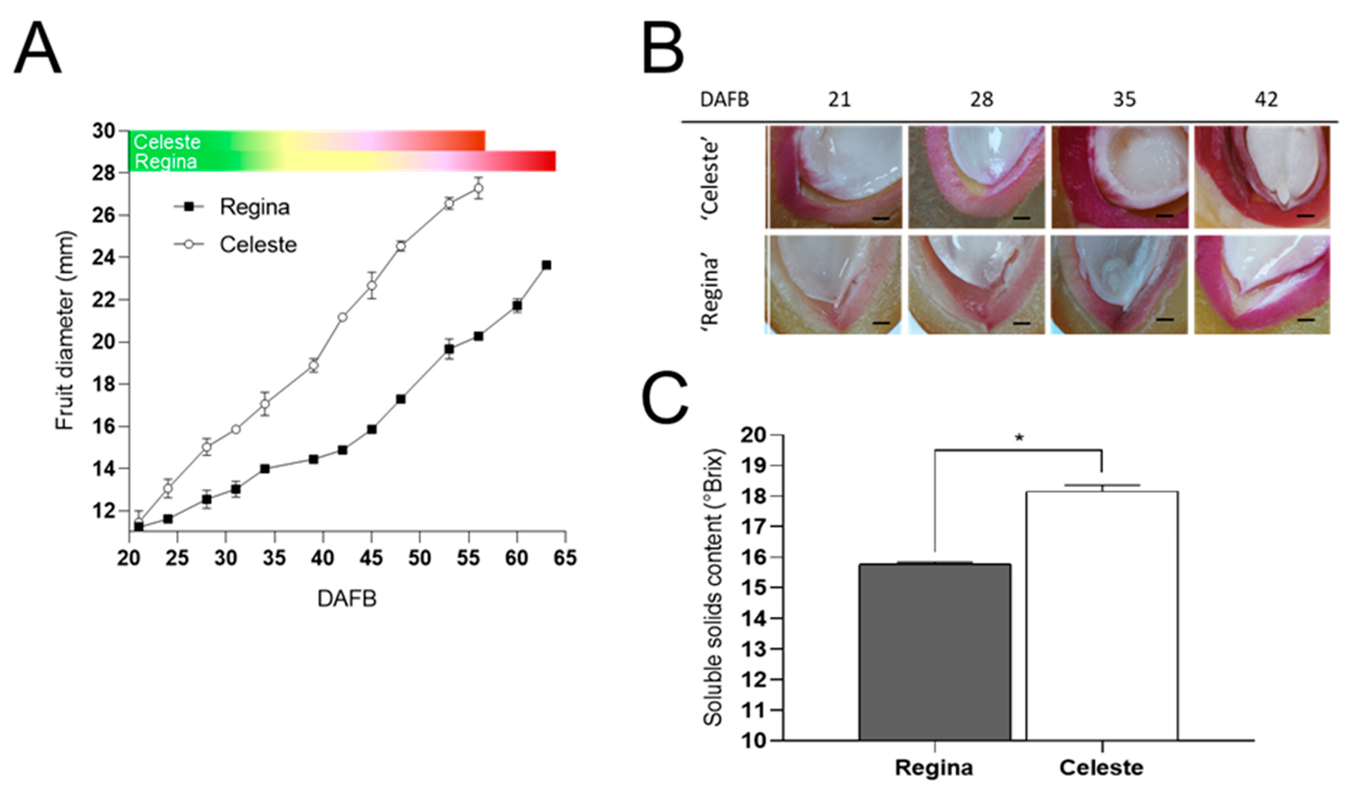 Horticulturae 11 00706 g001