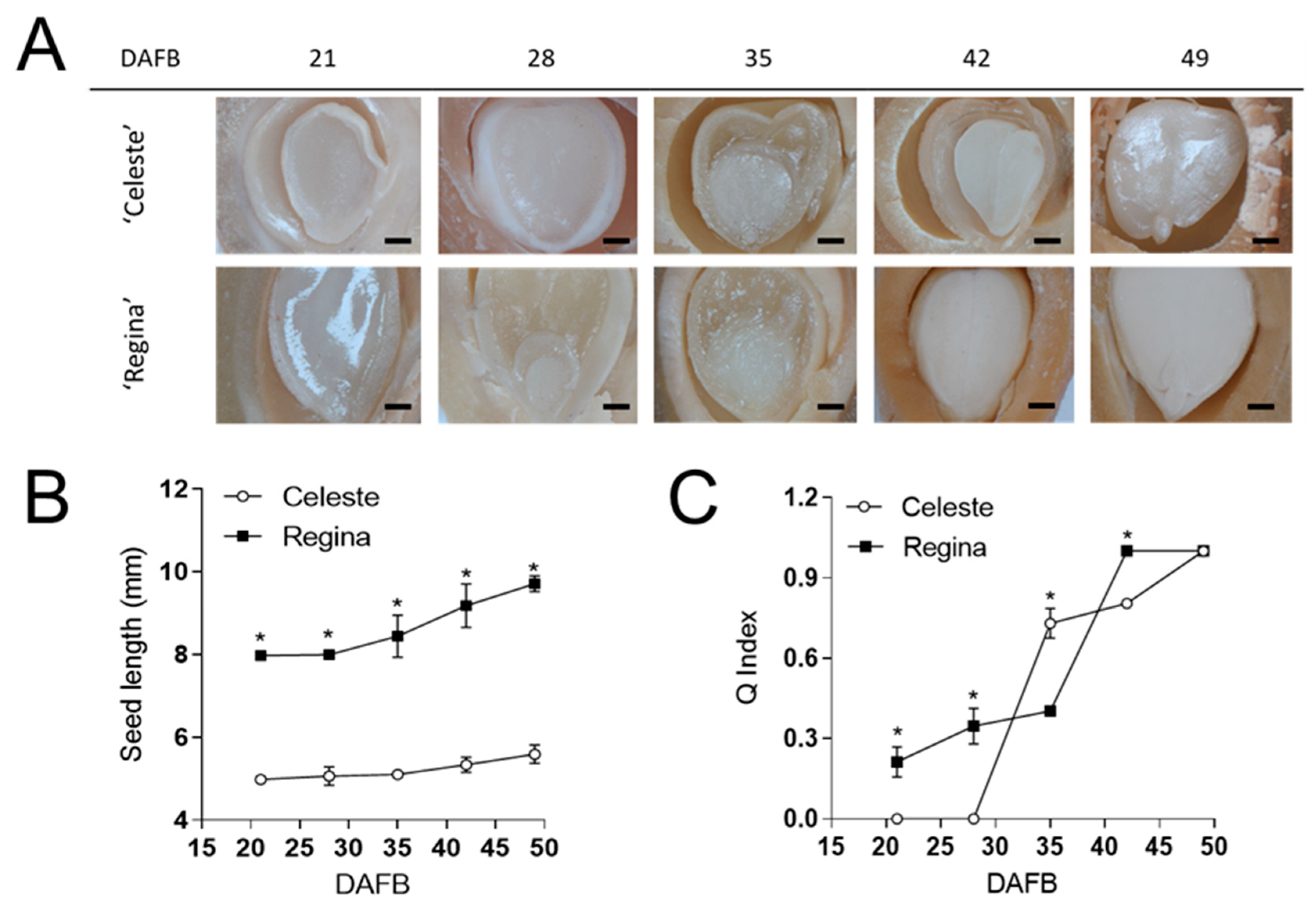 Horticulturae 11 00706 g002