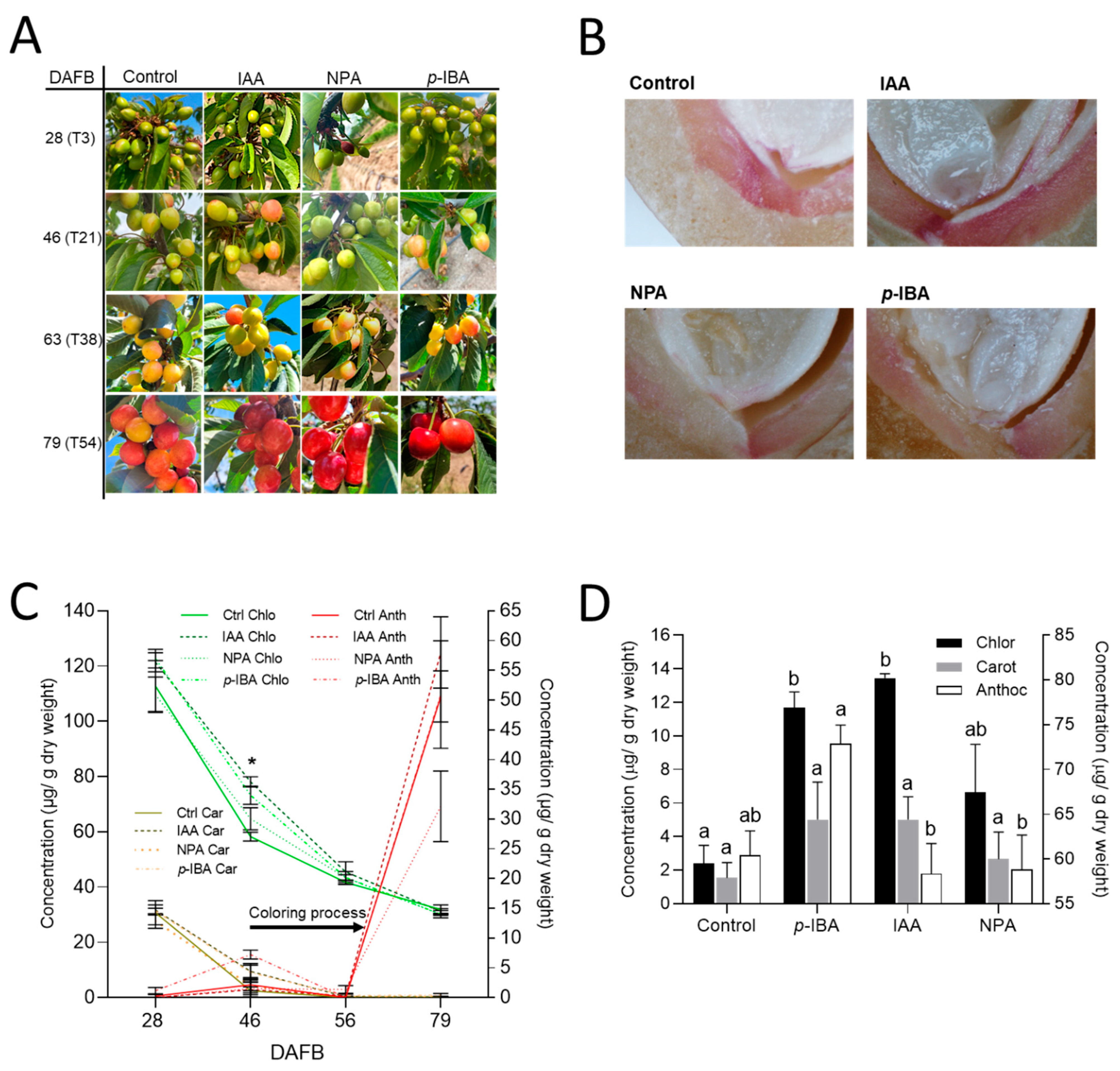 Horticulturae 11 00706 g006