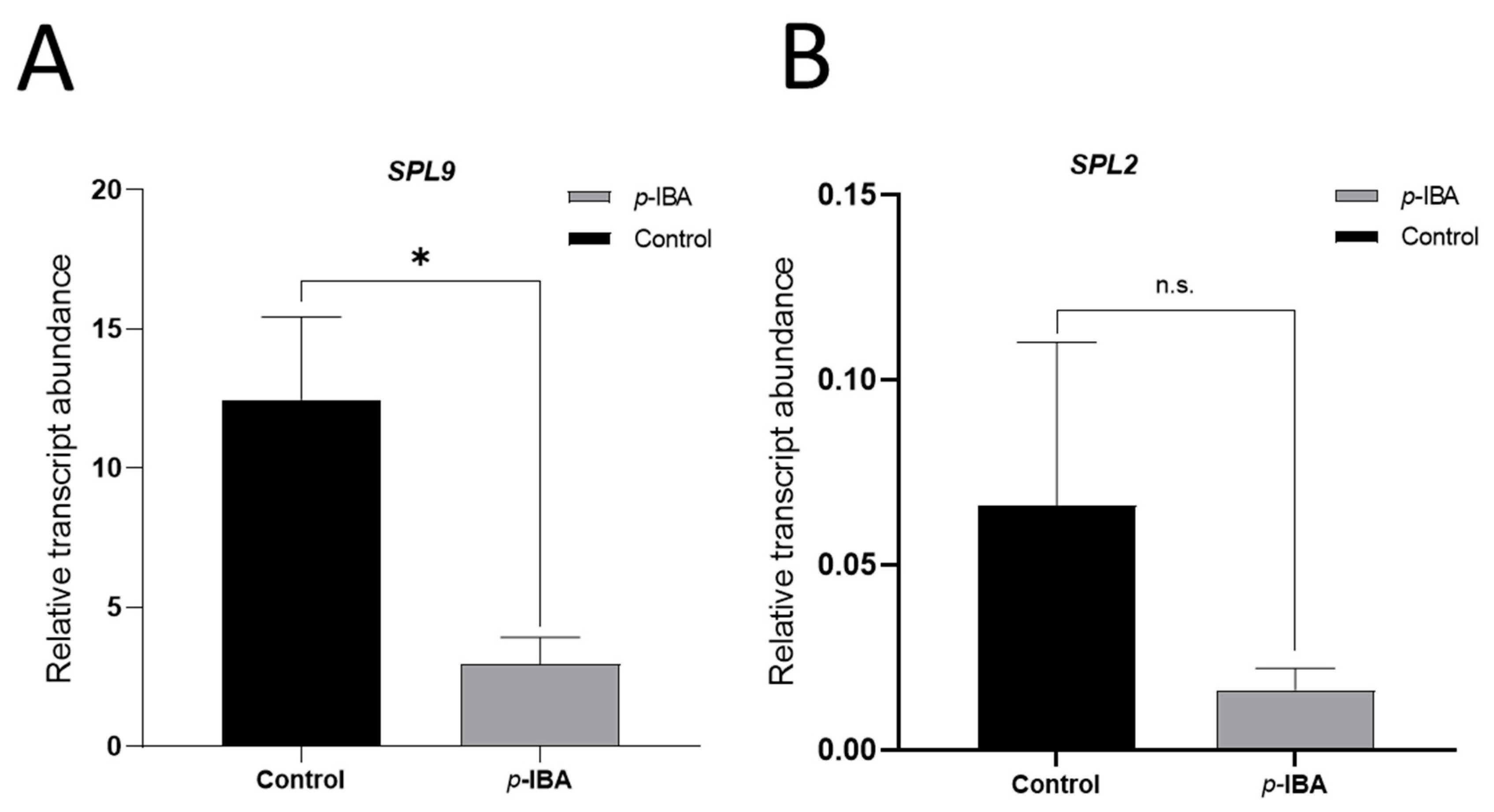 Horticulturae 11 00706 g008