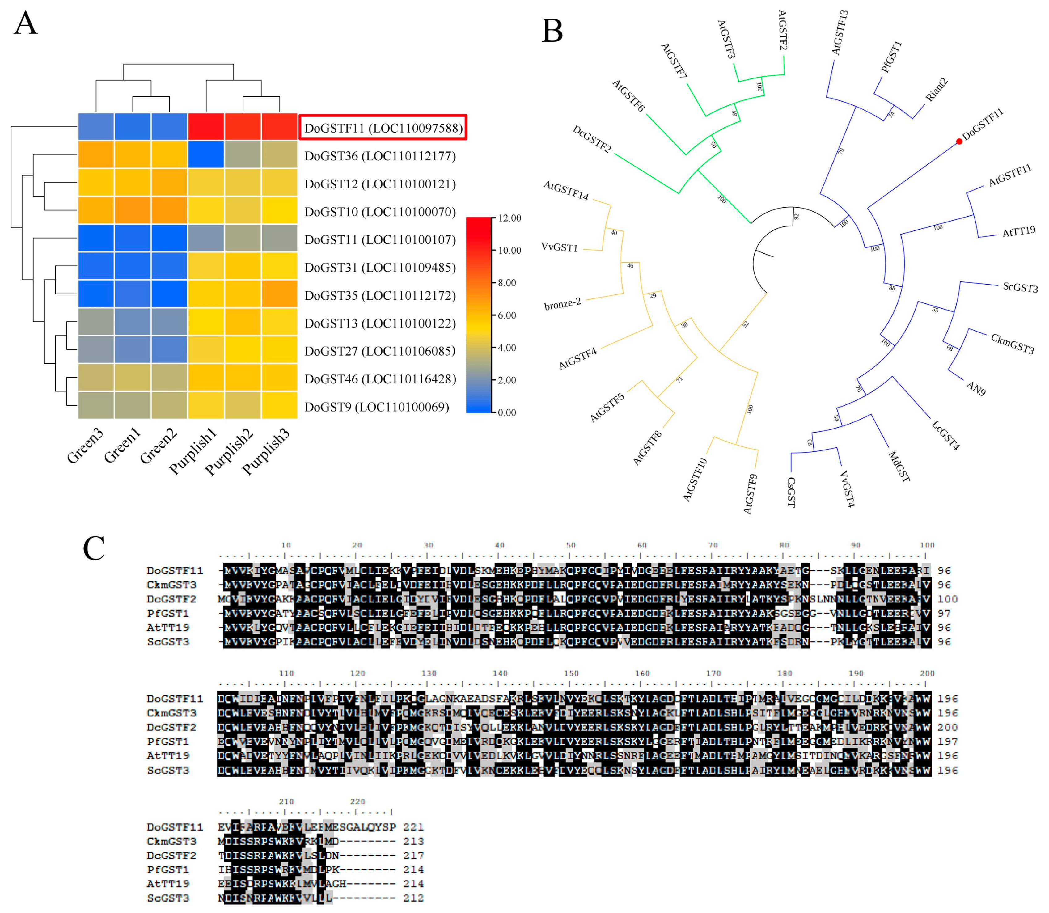 Horticulturae 11 00711 g002