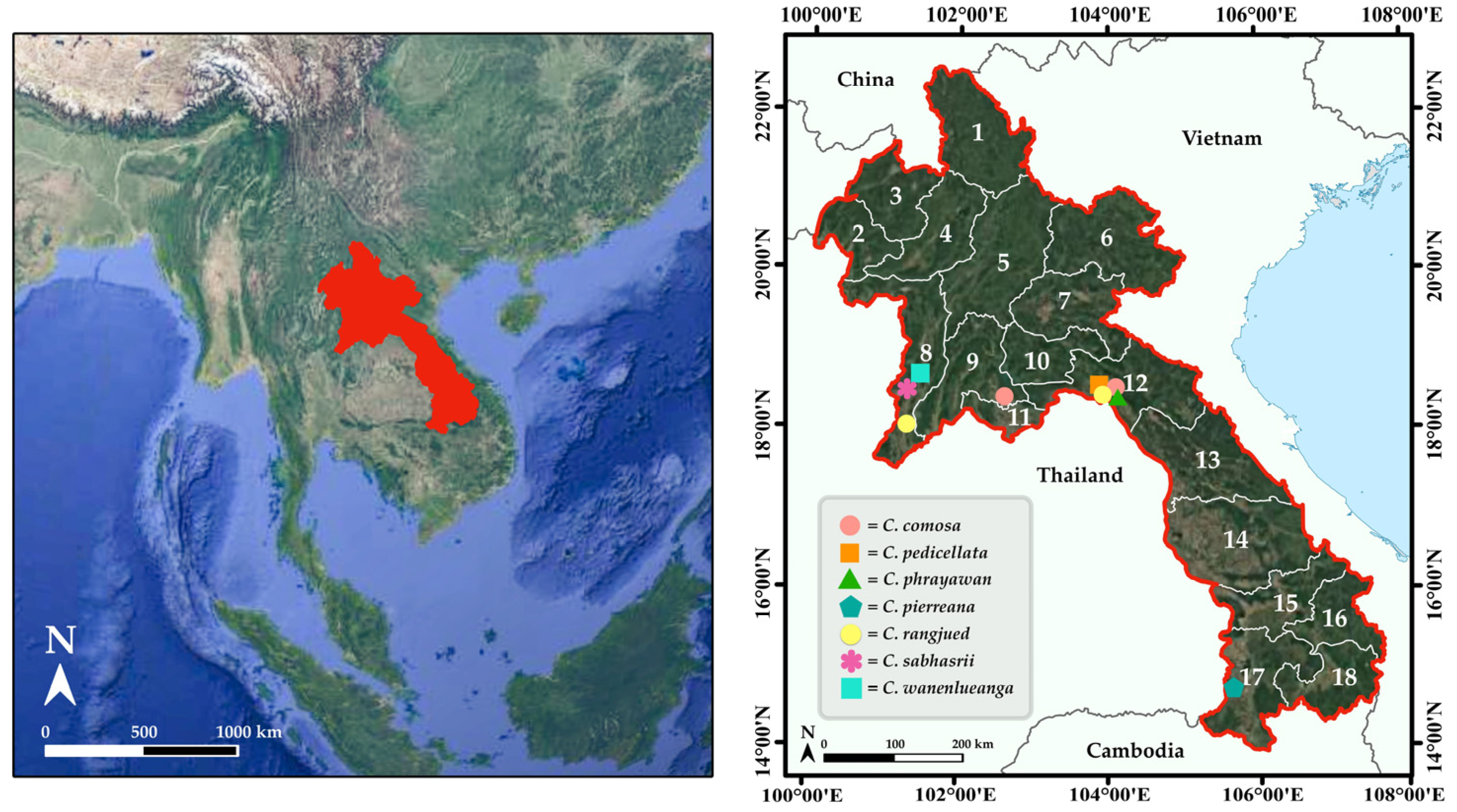 Horticulturae 11 00720 g001
