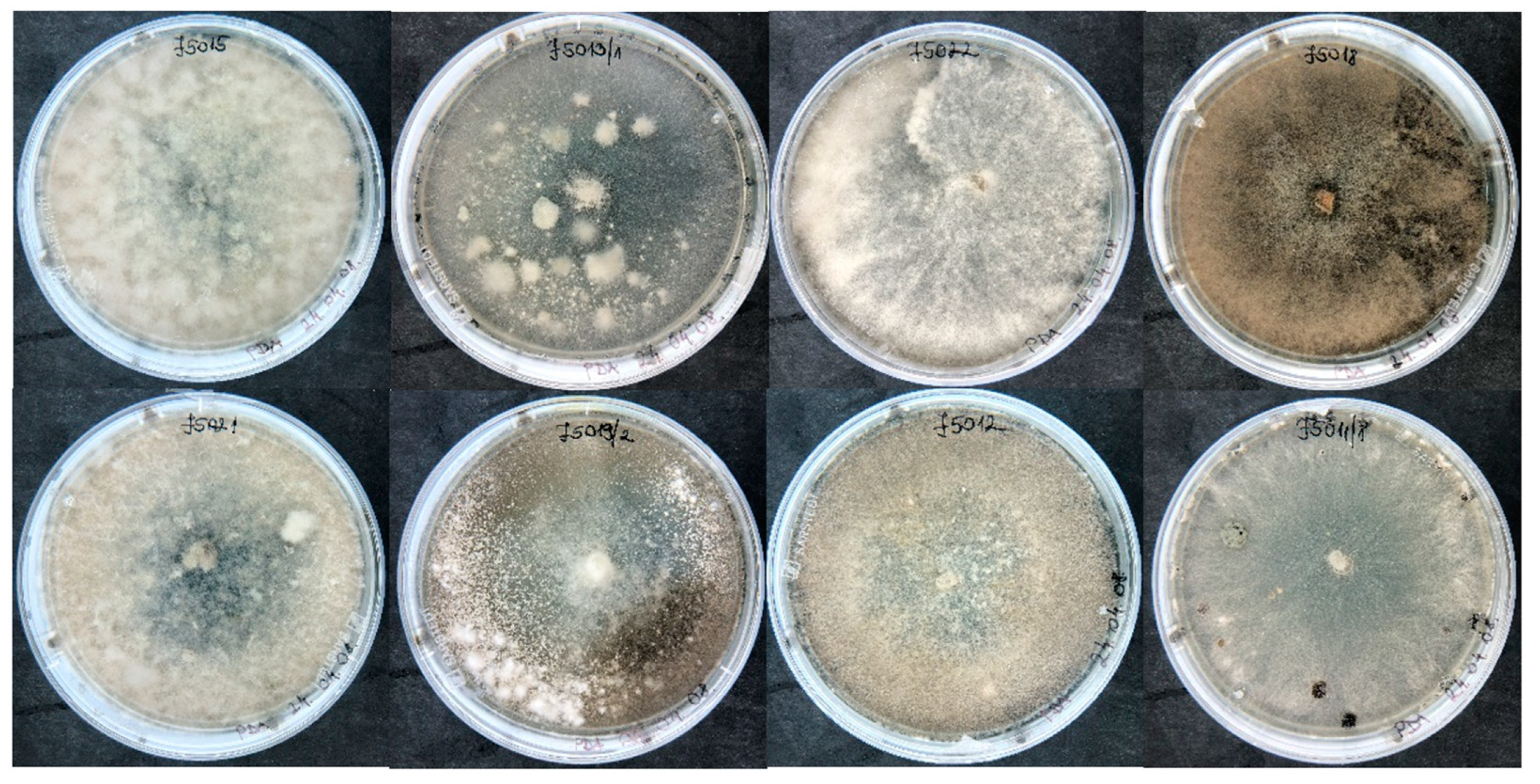 Horticulturae 11 00725 g003