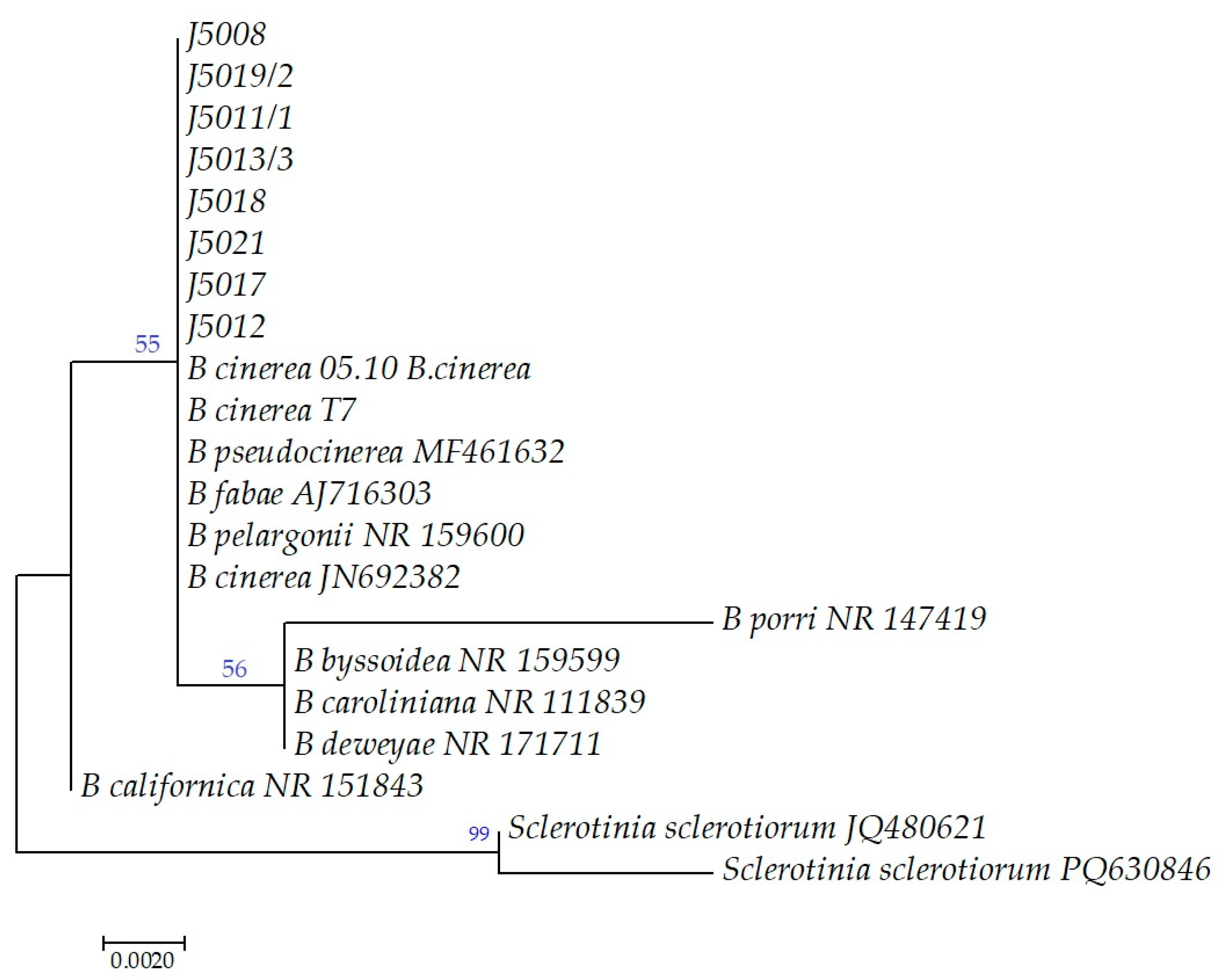 Horticulturae 11 00725 g005