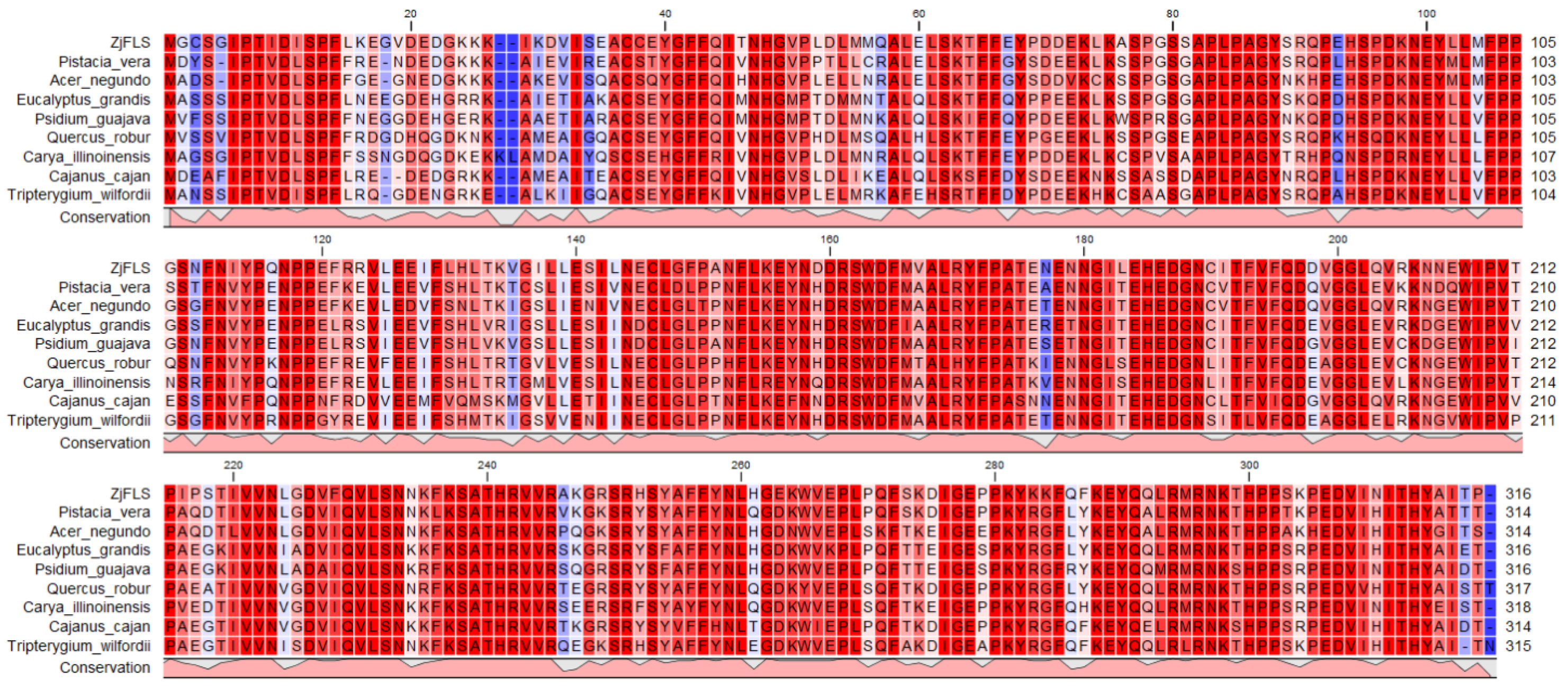 Horticulturae 11 00729 g002