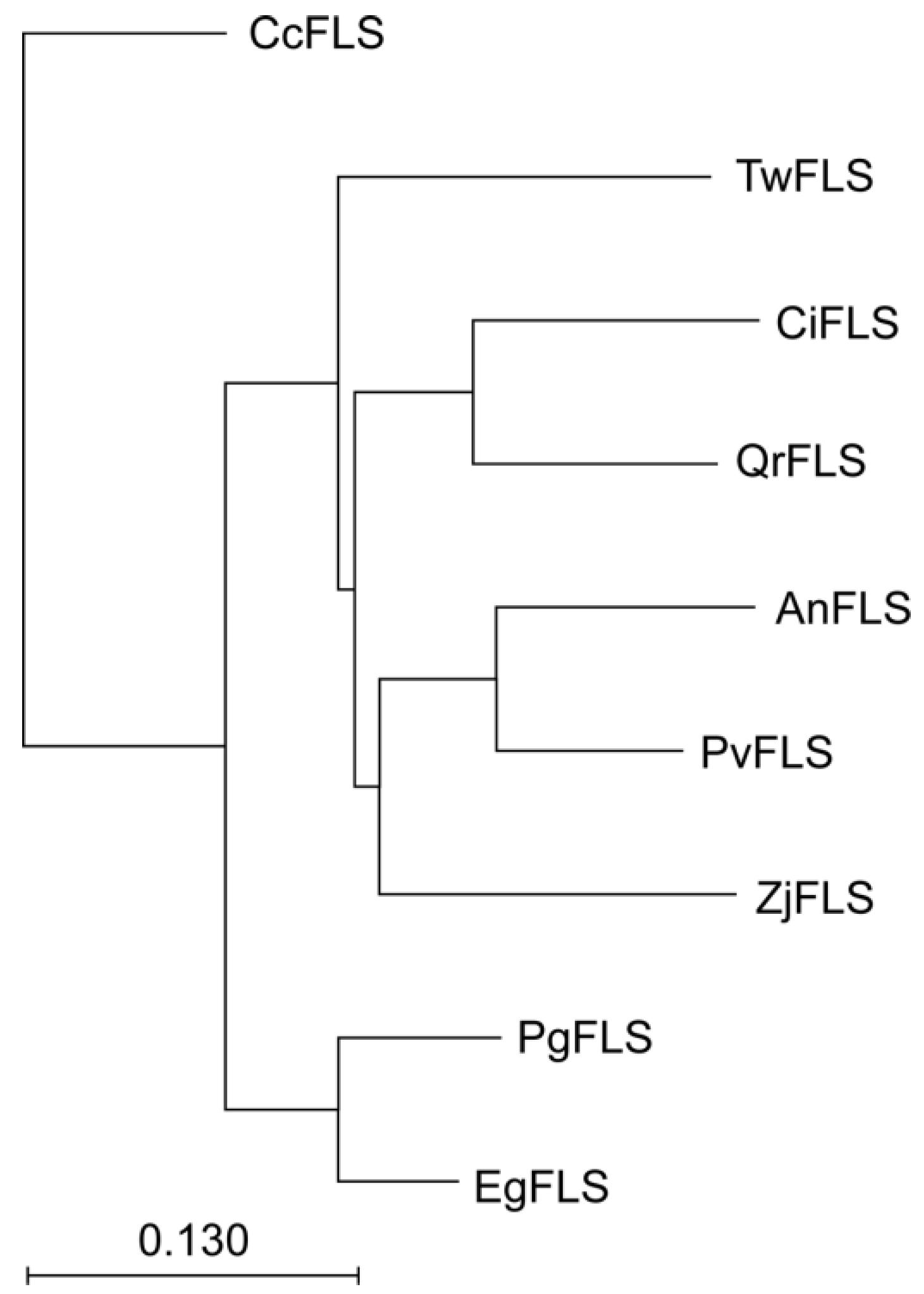 Horticulturae 11 00729 g003