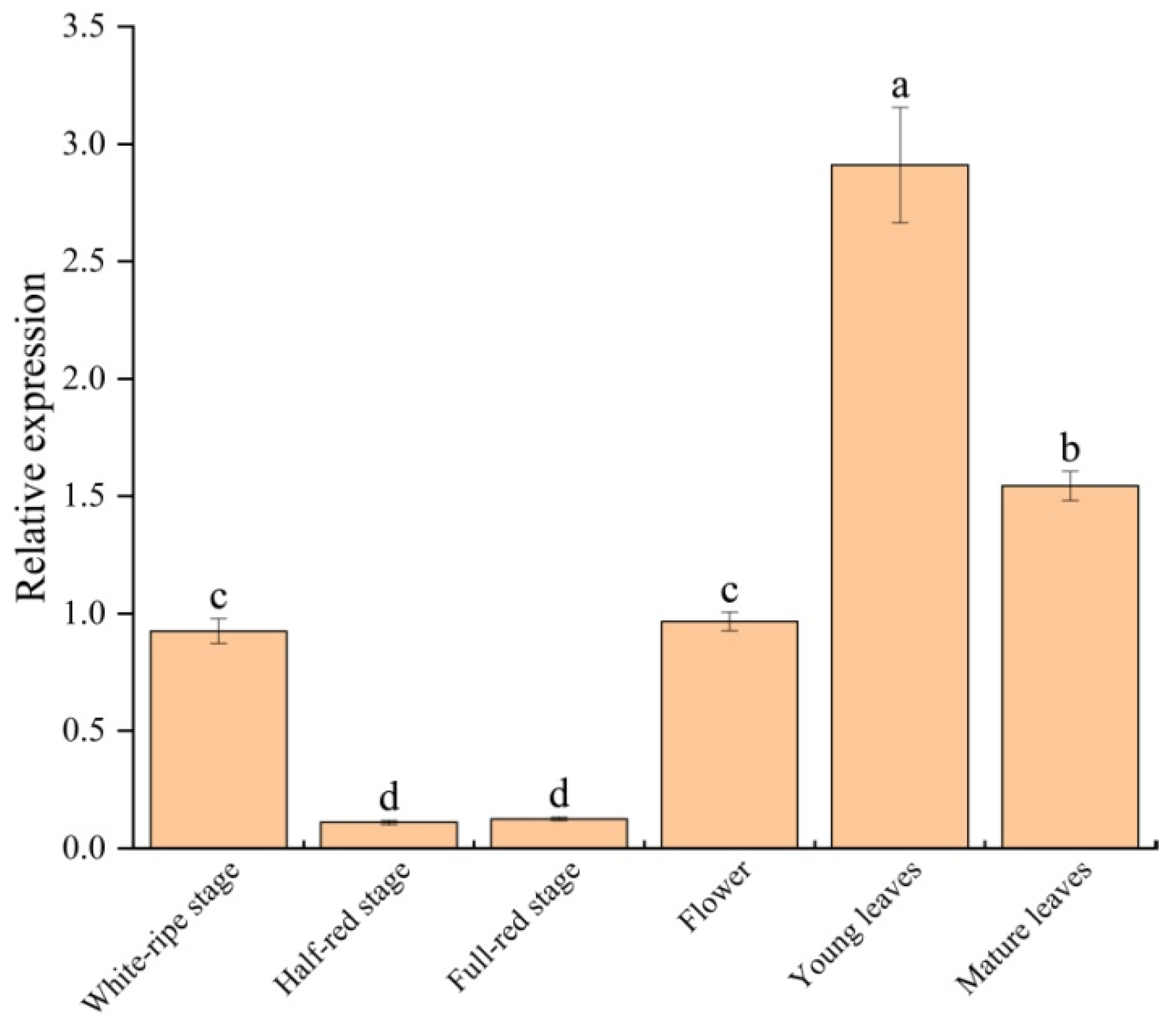 Horticulturae 11 00729 g004