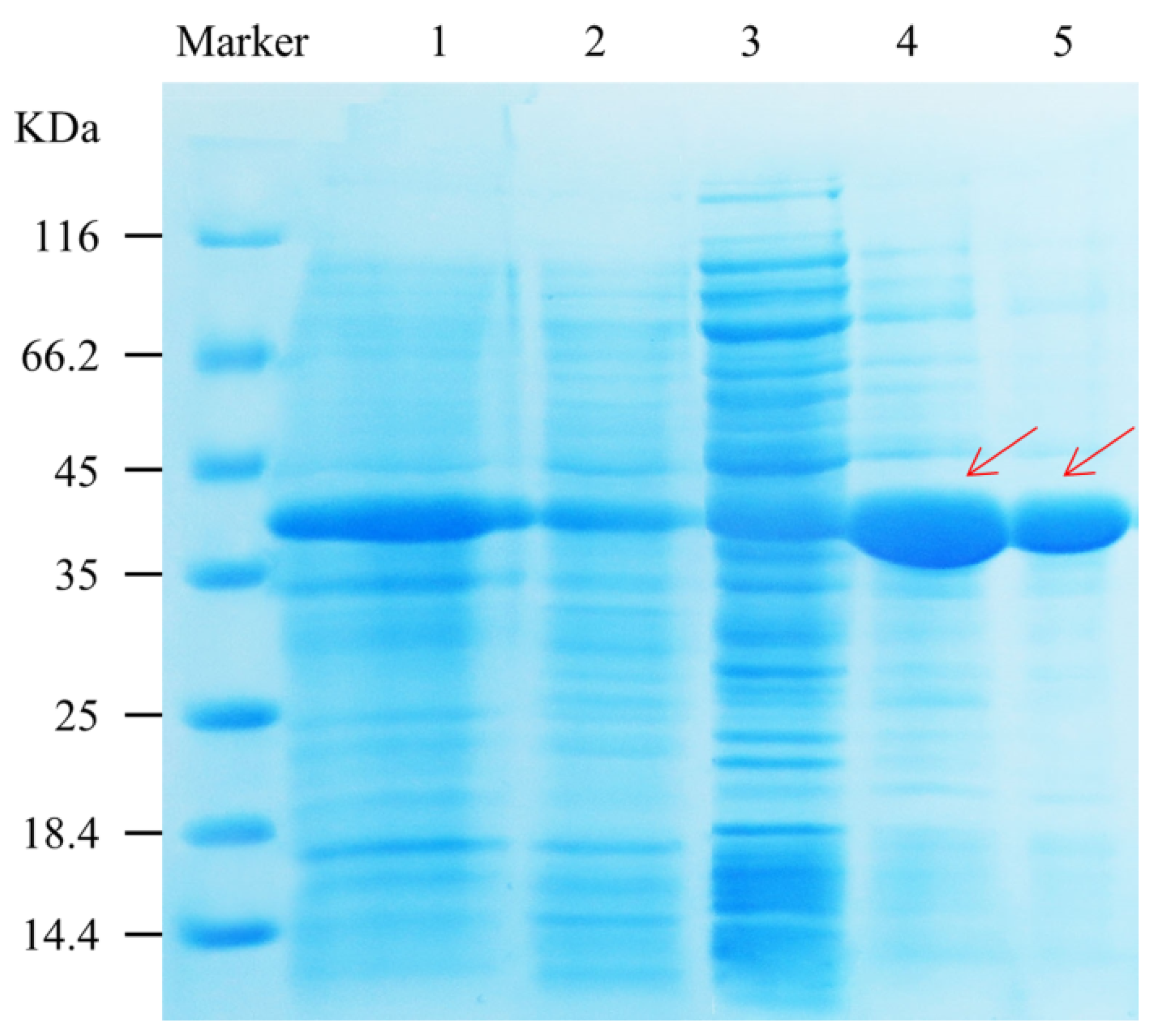 Horticulturae 11 00729 g006