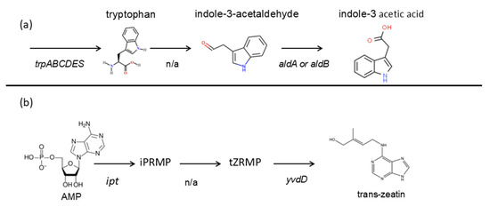 Horticulturae 11 00735 g007