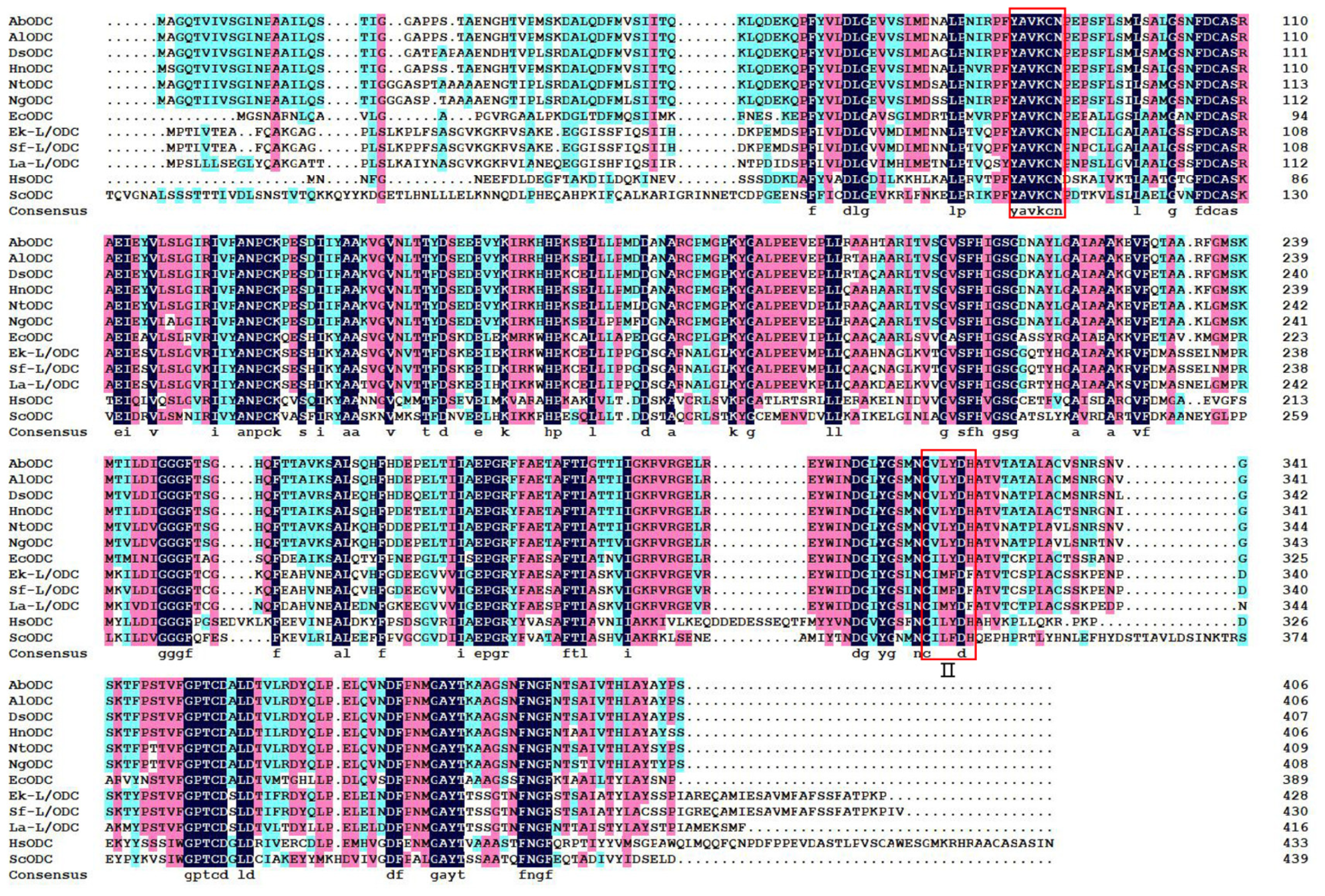 Horticulturae 11 00748 g002