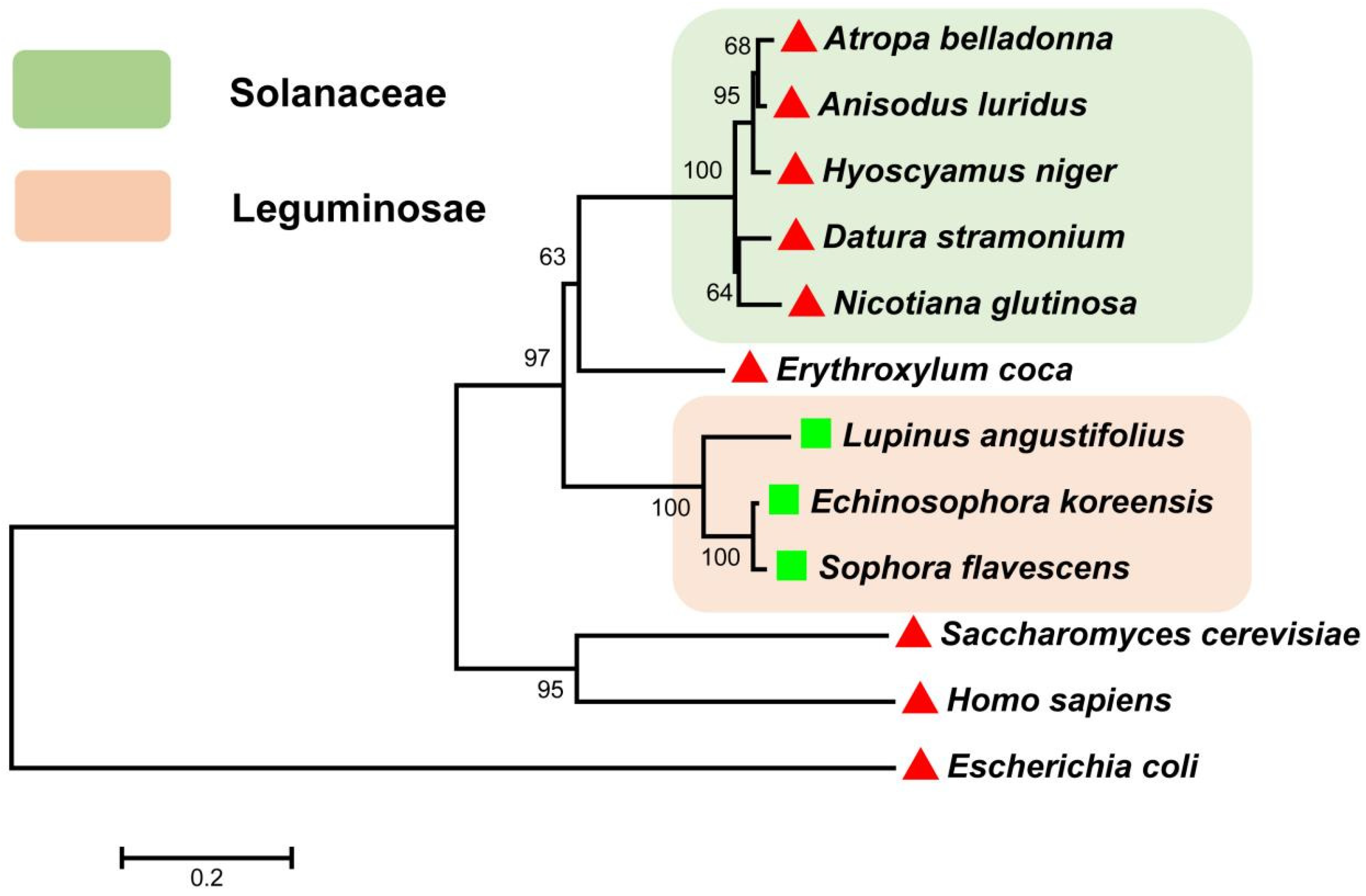 Horticulturae 11 00748 g003