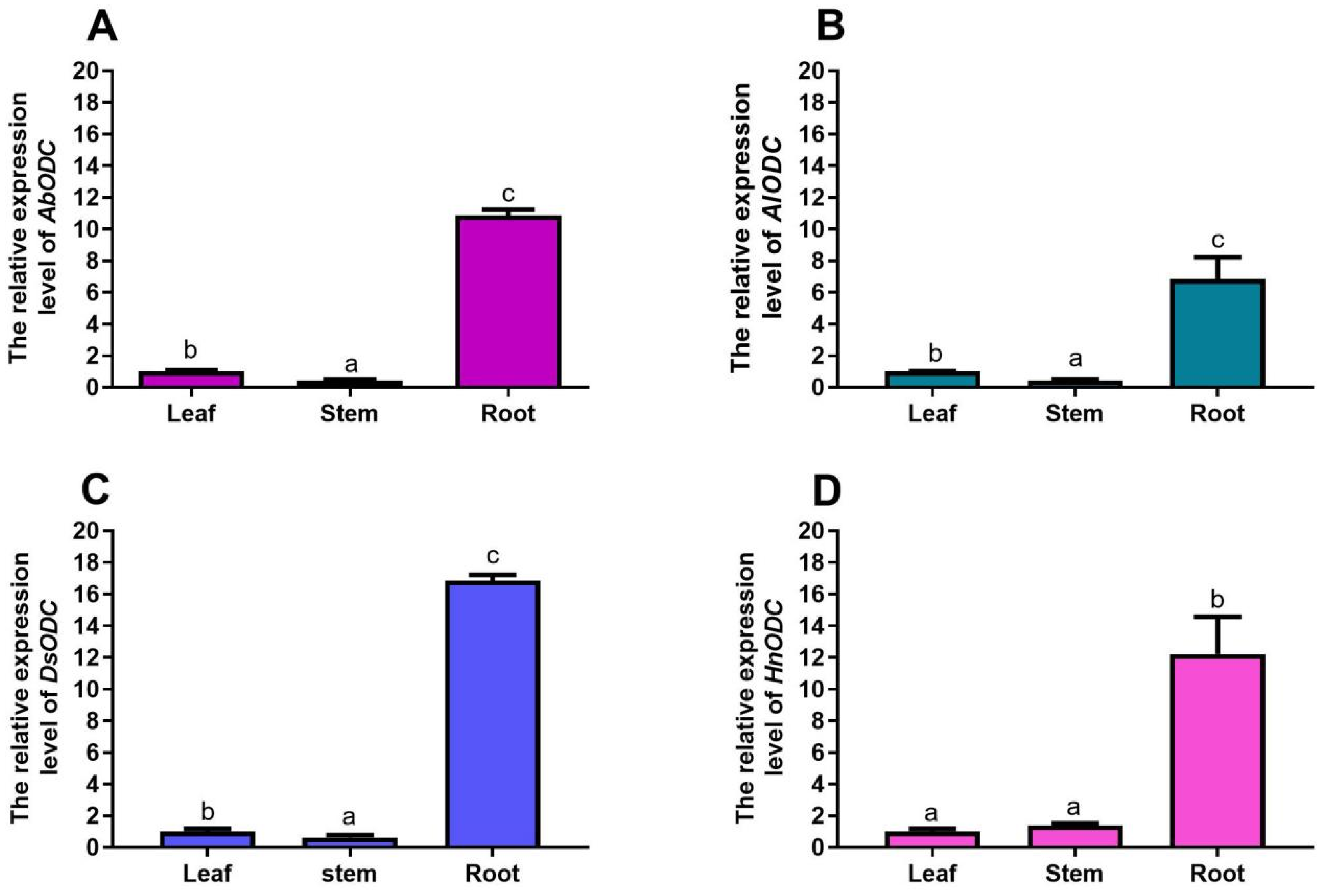 Horticulturae 11 00748 g004
