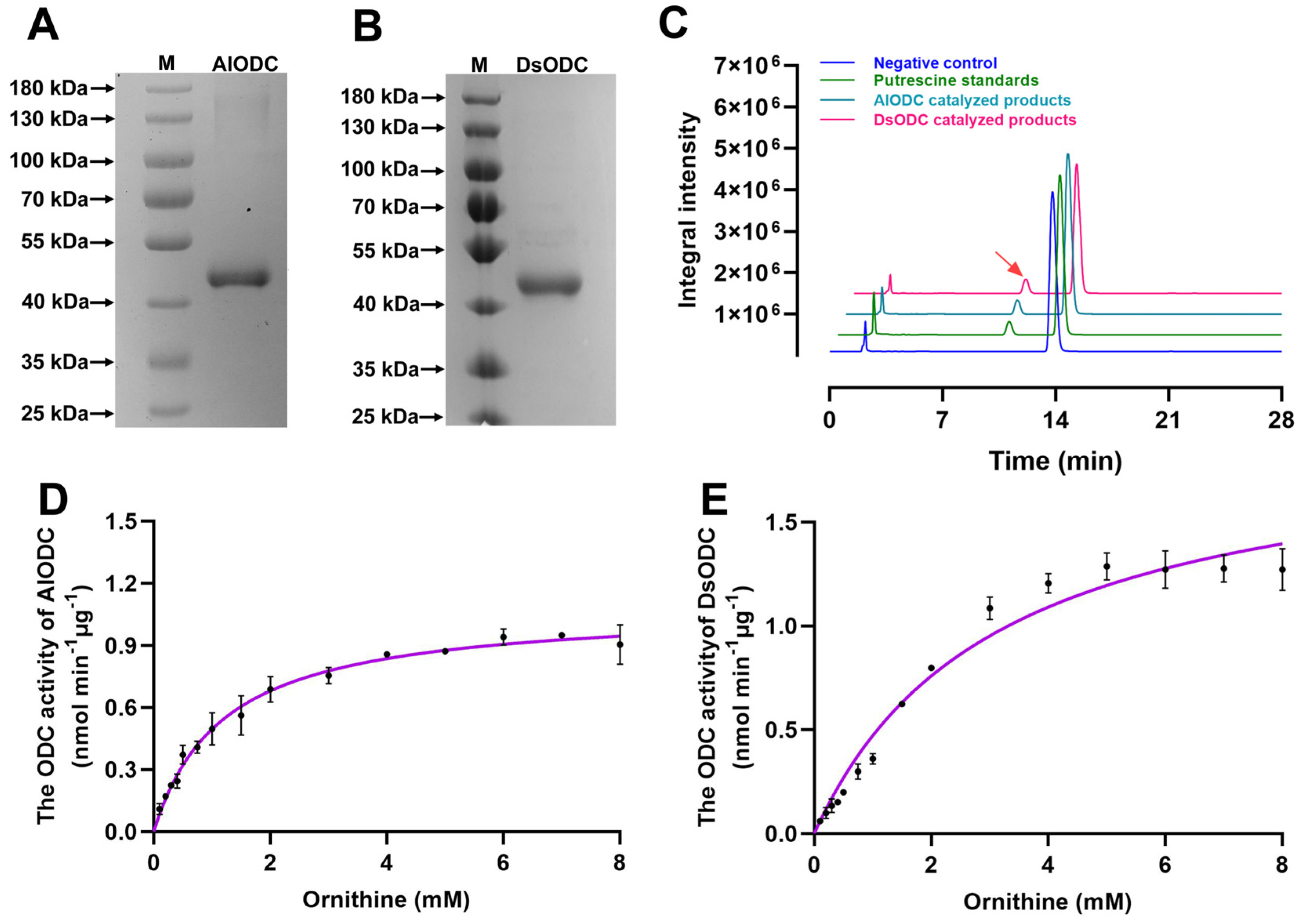 Horticulturae 11 00748 g005