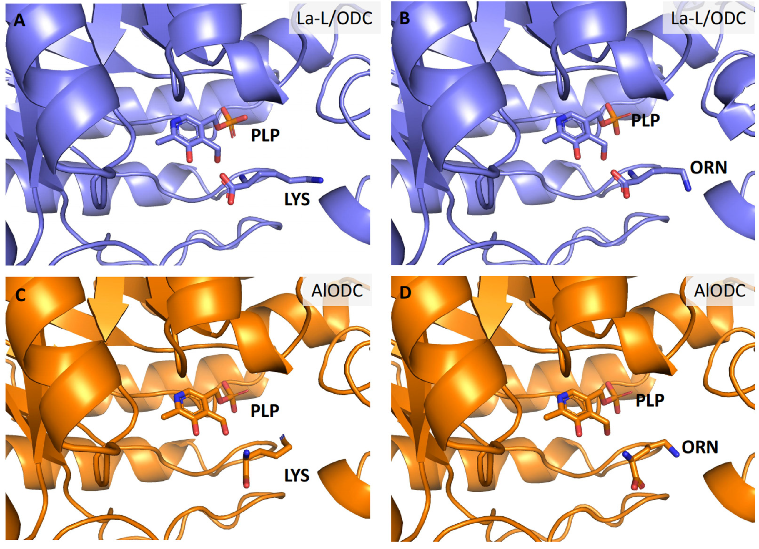 Horticulturae 11 00748 g006