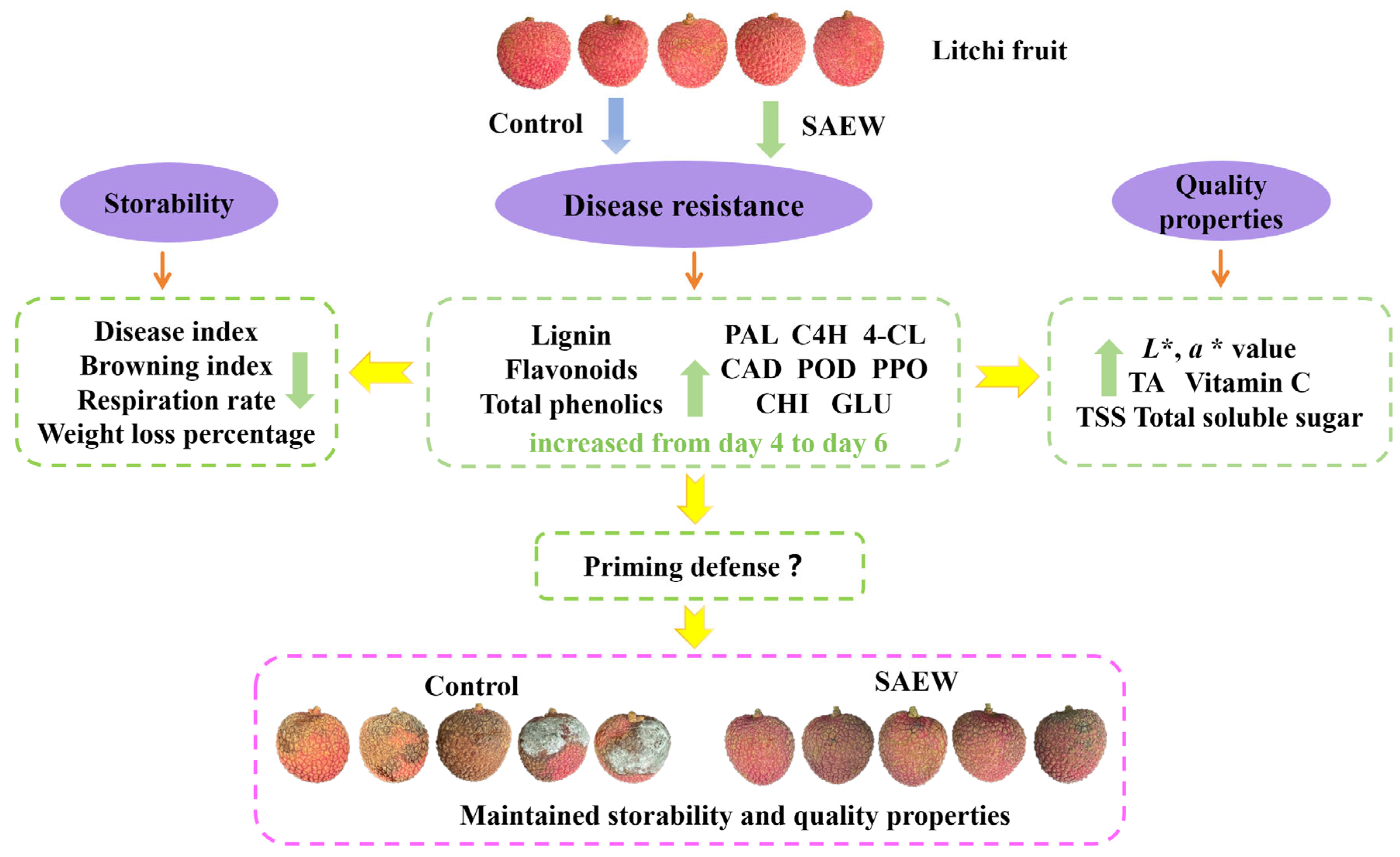 Horticulturae 11 00751 g008