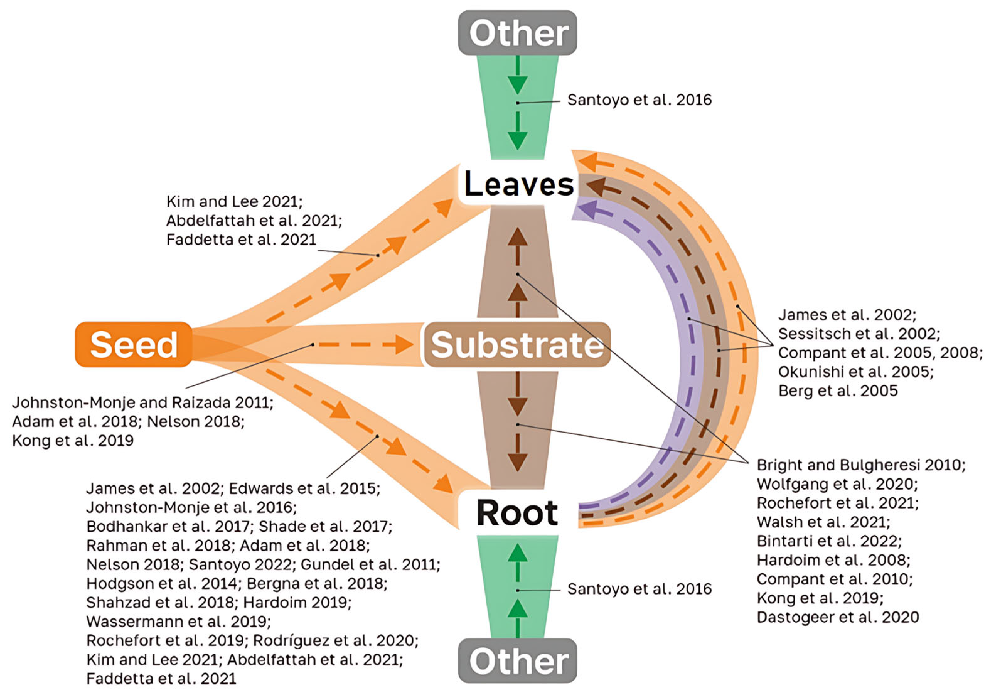 Horticulturae 11 00762 g005