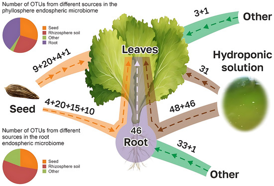 Horticulturae 11 00762 g0a1