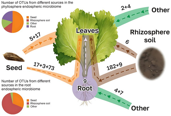 Horticulturae 11 00762 g0a2