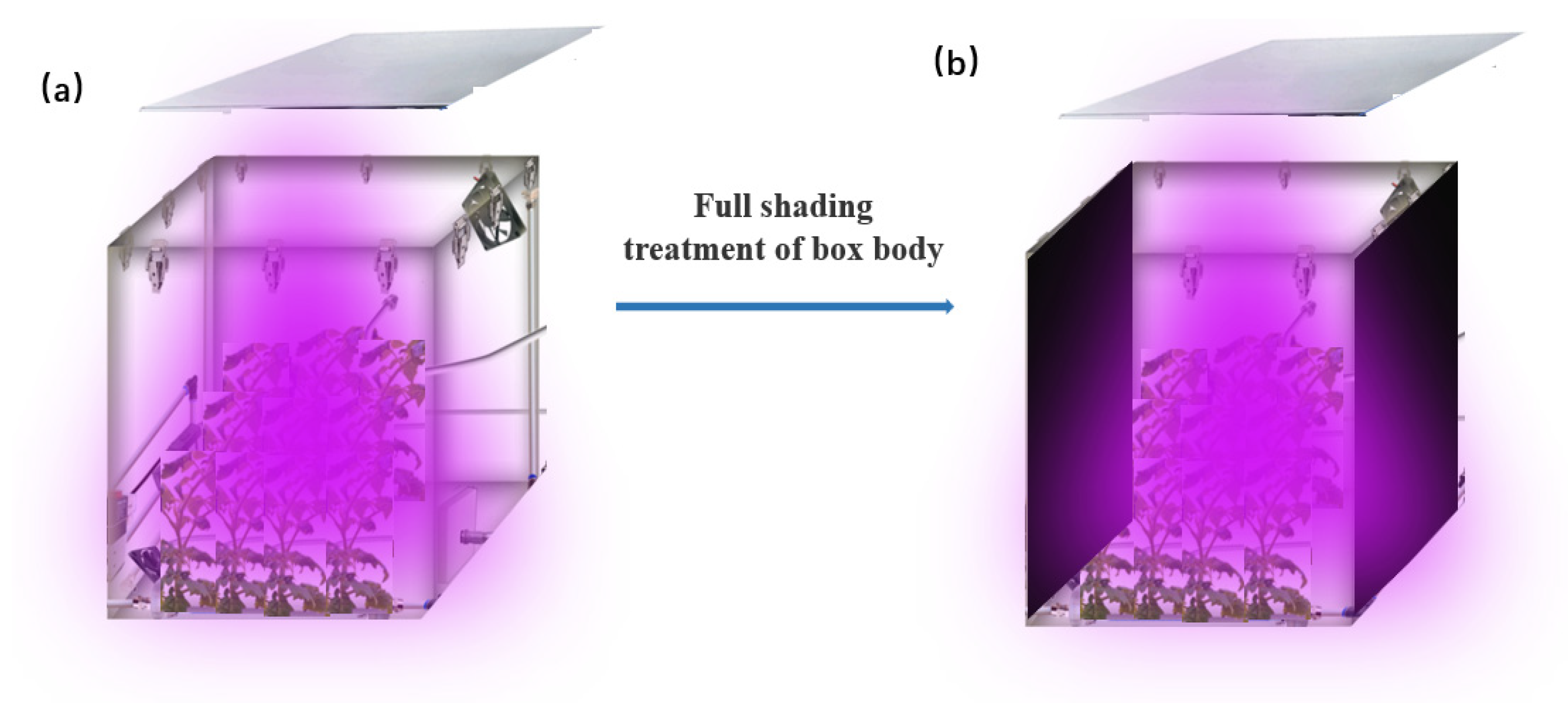 Horticulturae 11 00779 g001