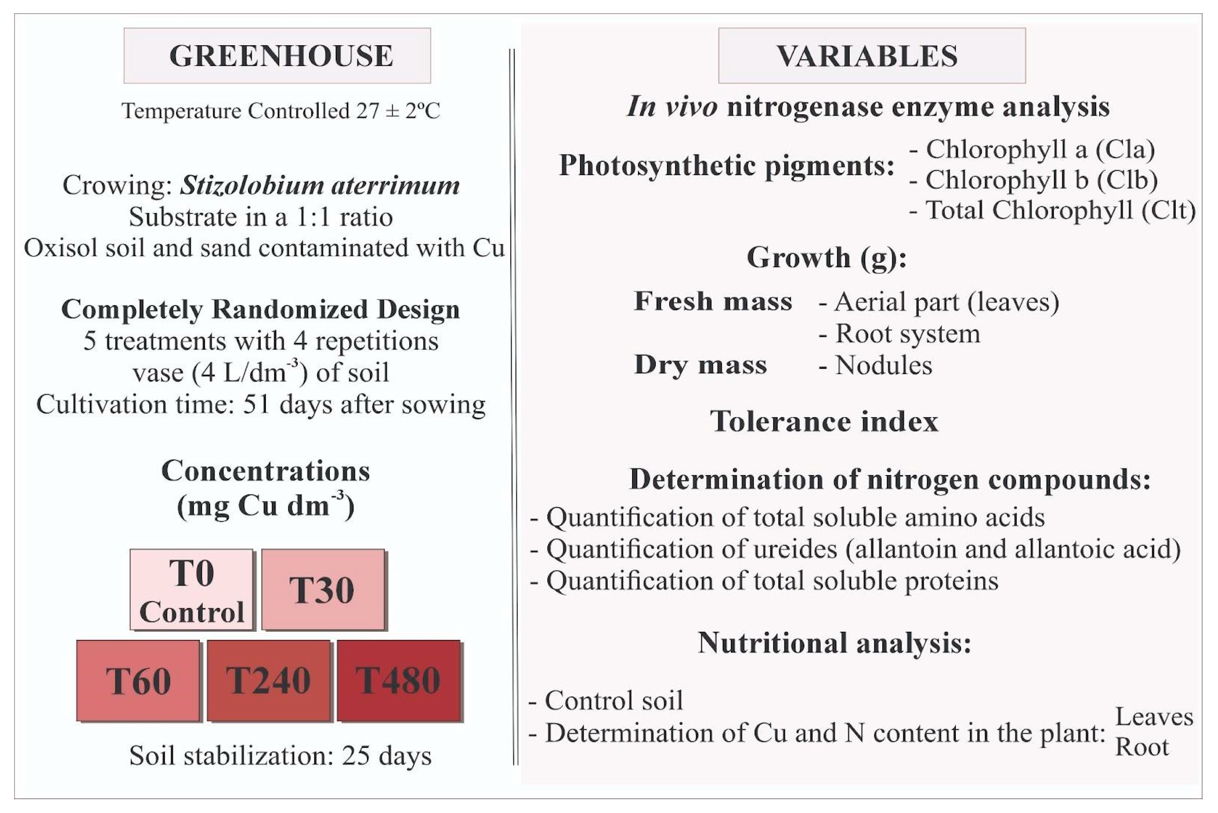 Horticulturae 11 00782 g001