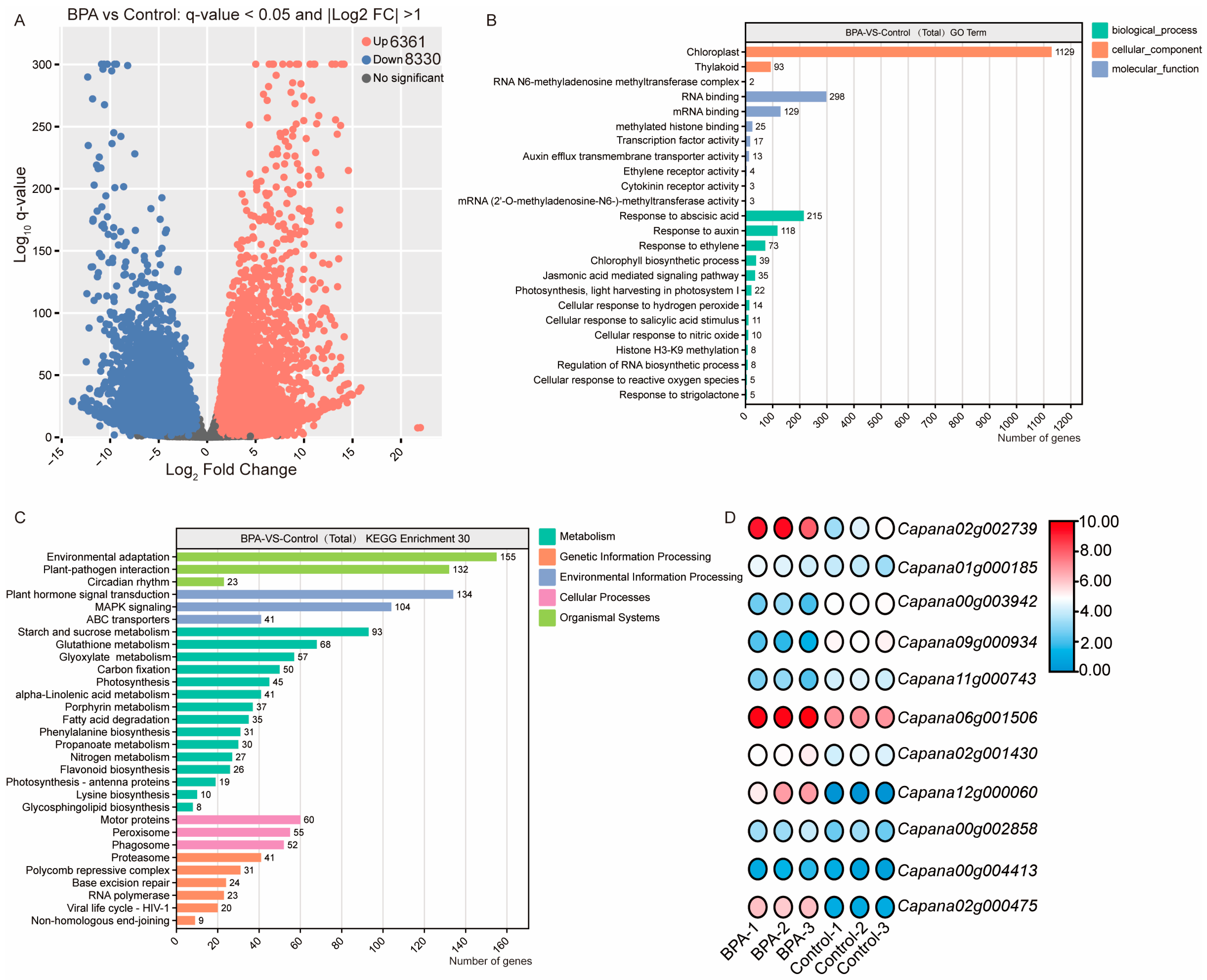 Horticulturae 11 00788 g003