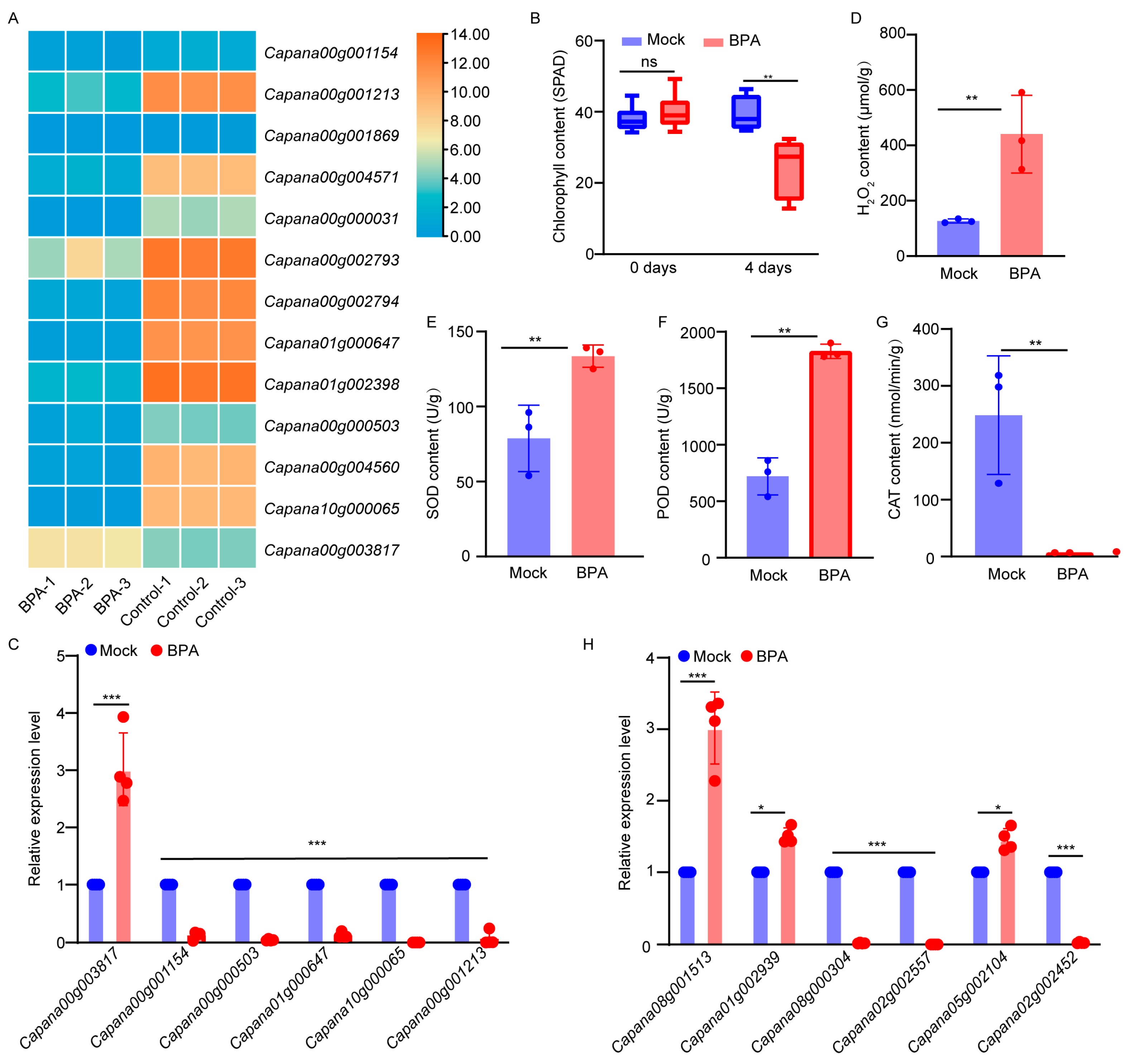 Horticulturae 11 00788 g004
