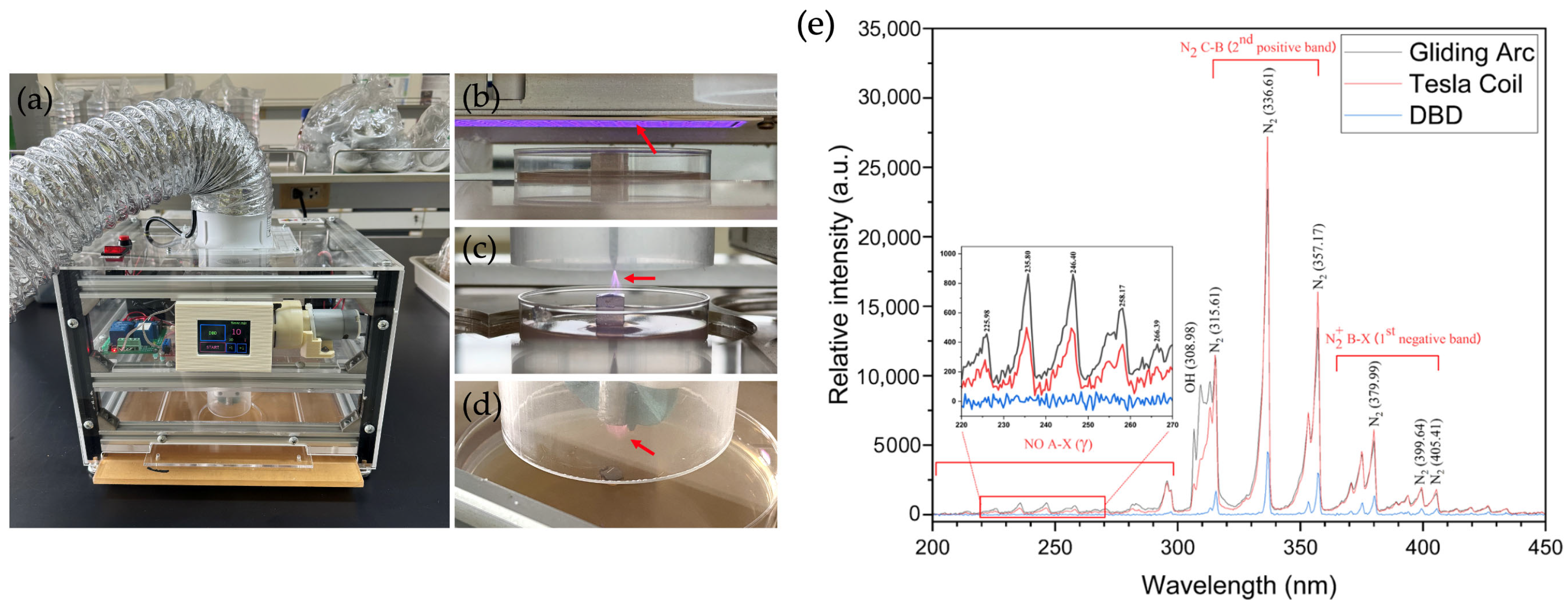 Horticulturae 11 00818 g001