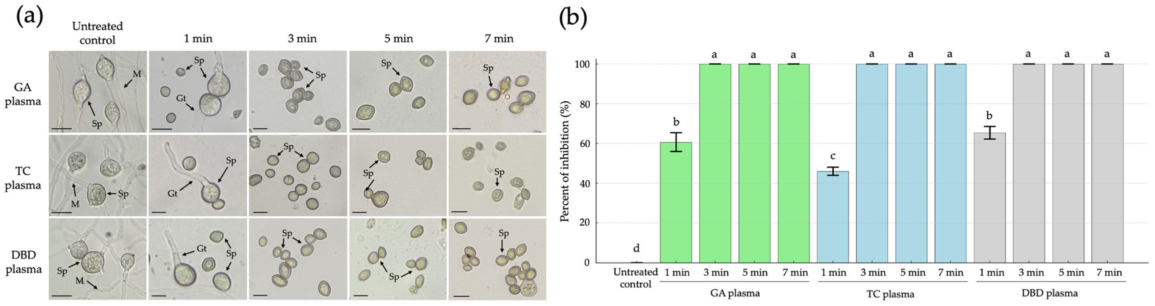 Horticulturae 11 00818 g003