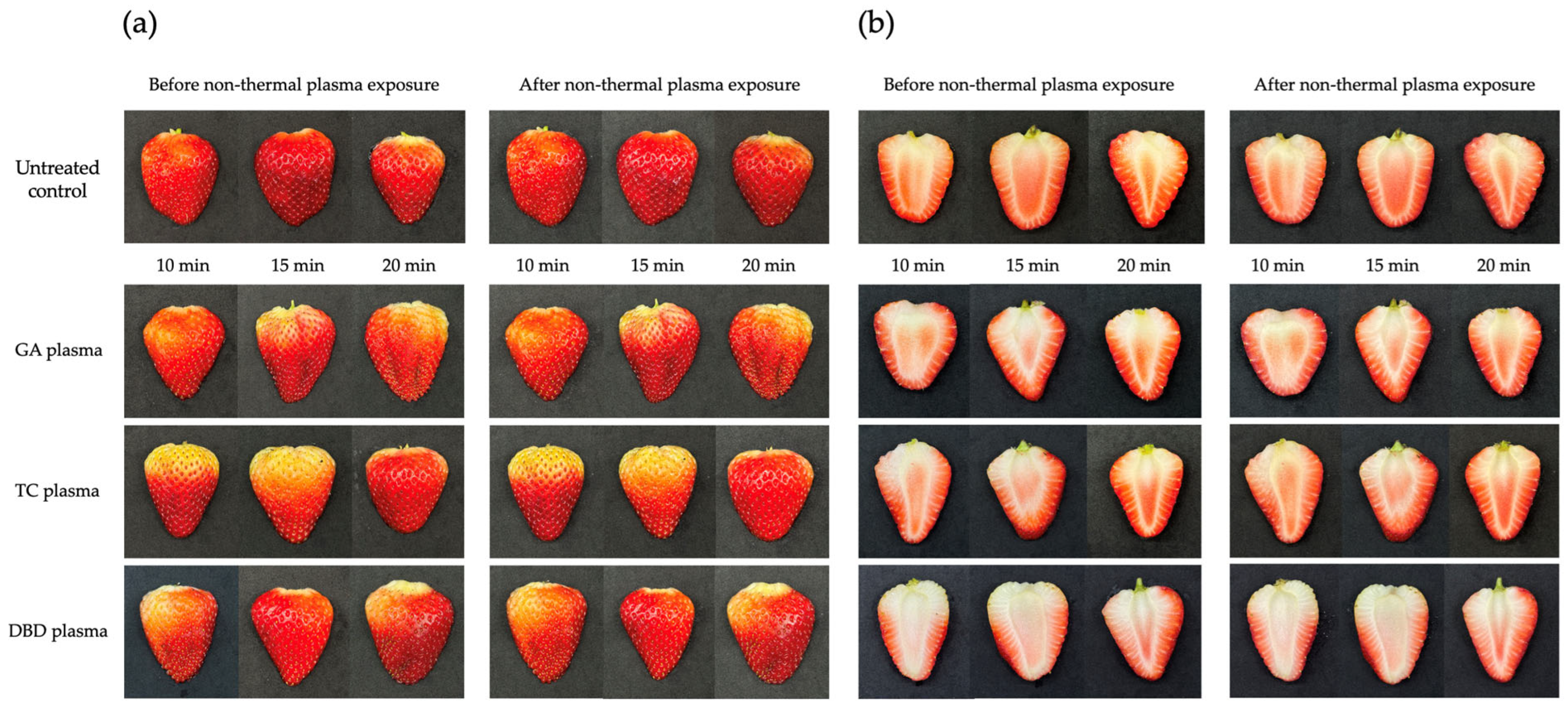 Horticulturae 11 00818 g007
