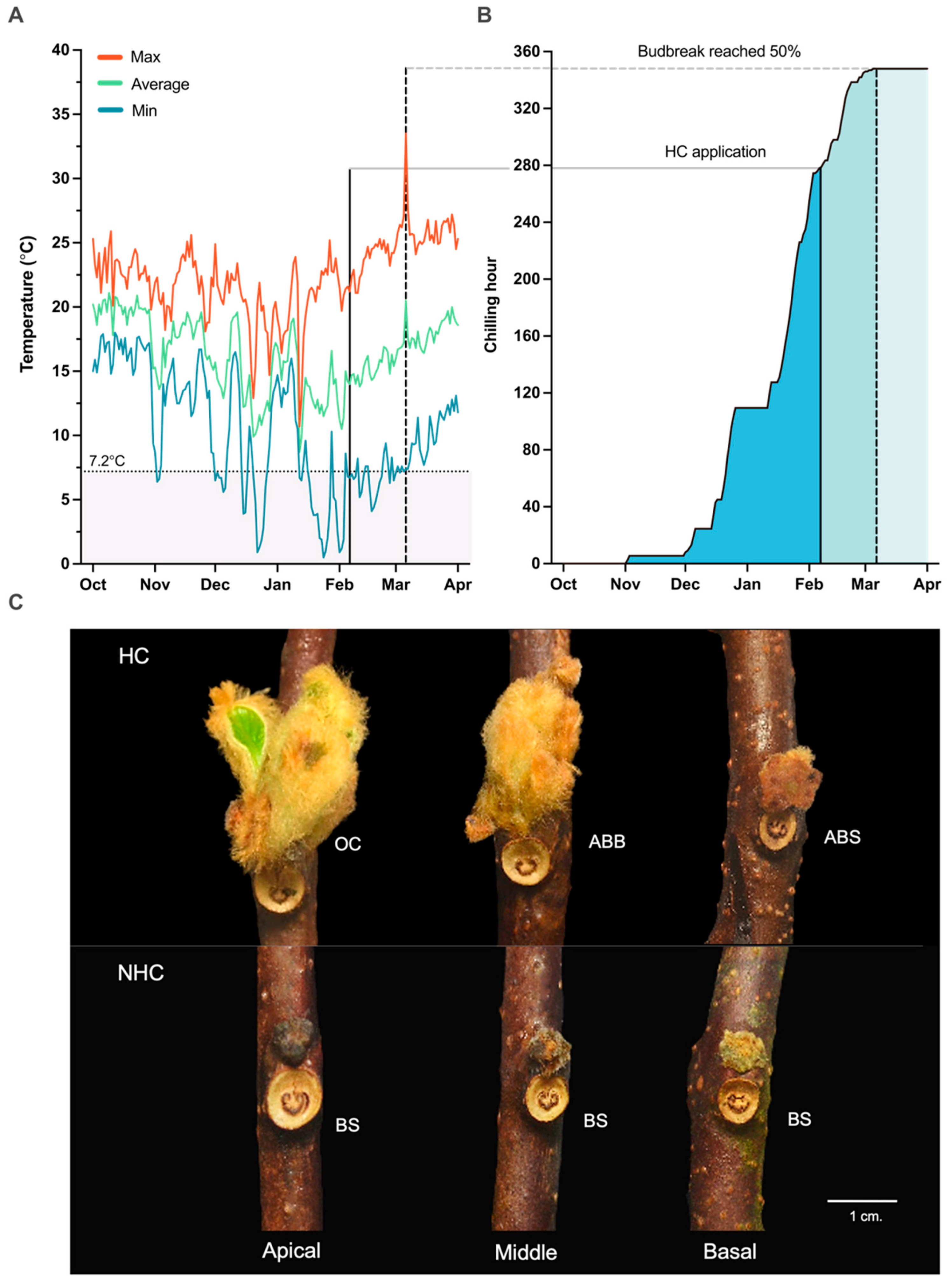 Horticulturae 11 00847 g003