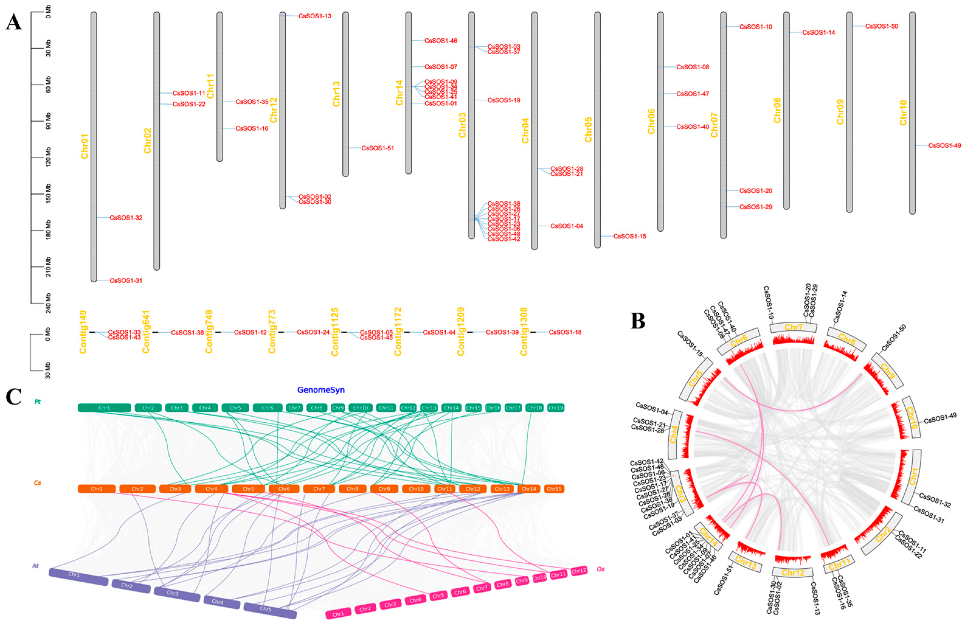 Horticulturae 11 00855 g002